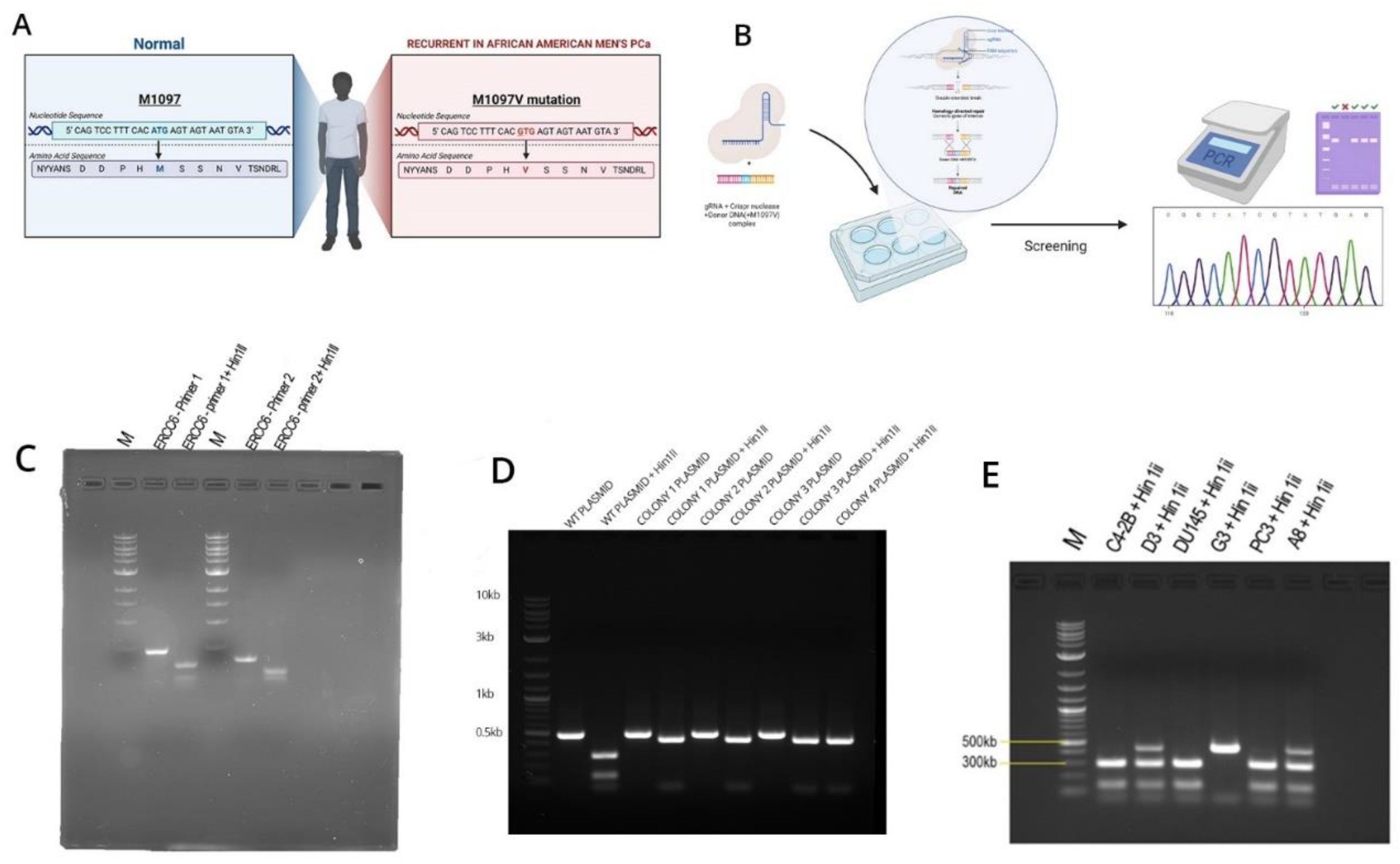 Preprints 163235 g002