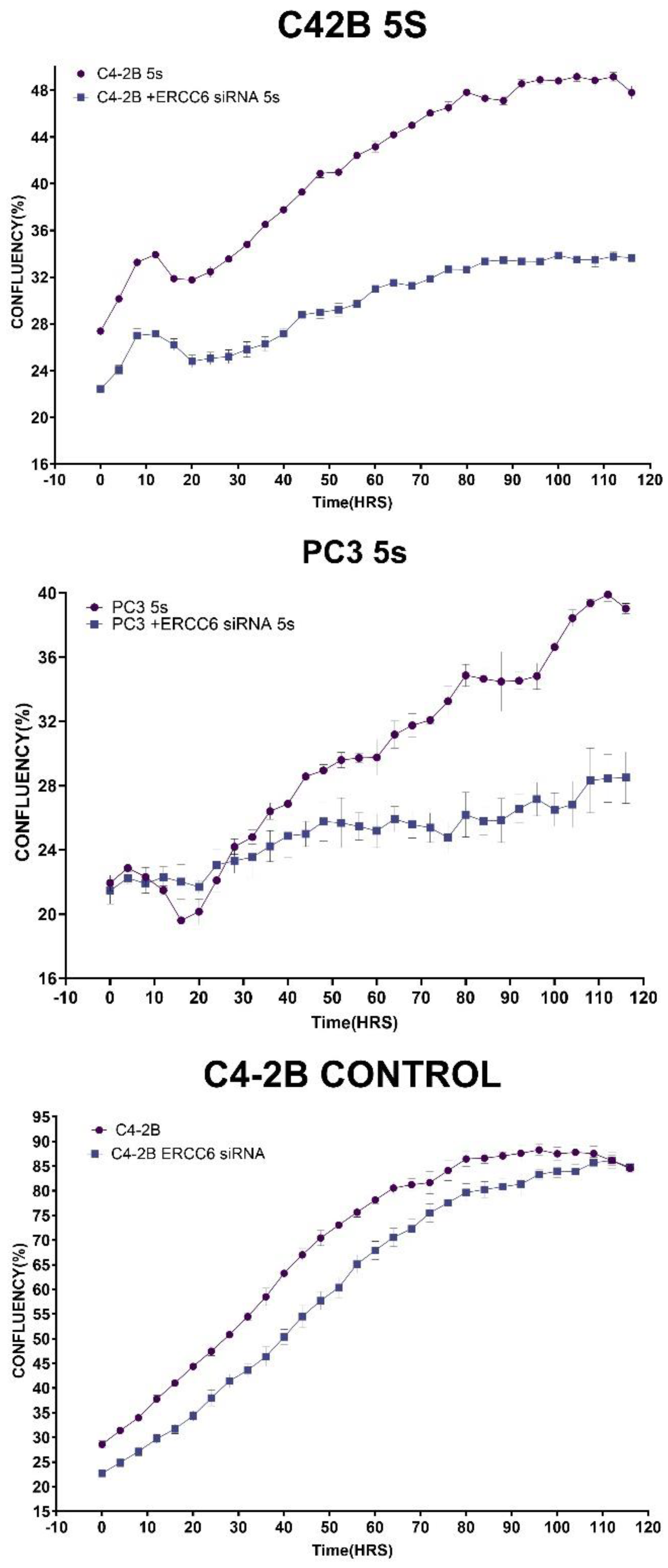 Preprints 163235 g005a
