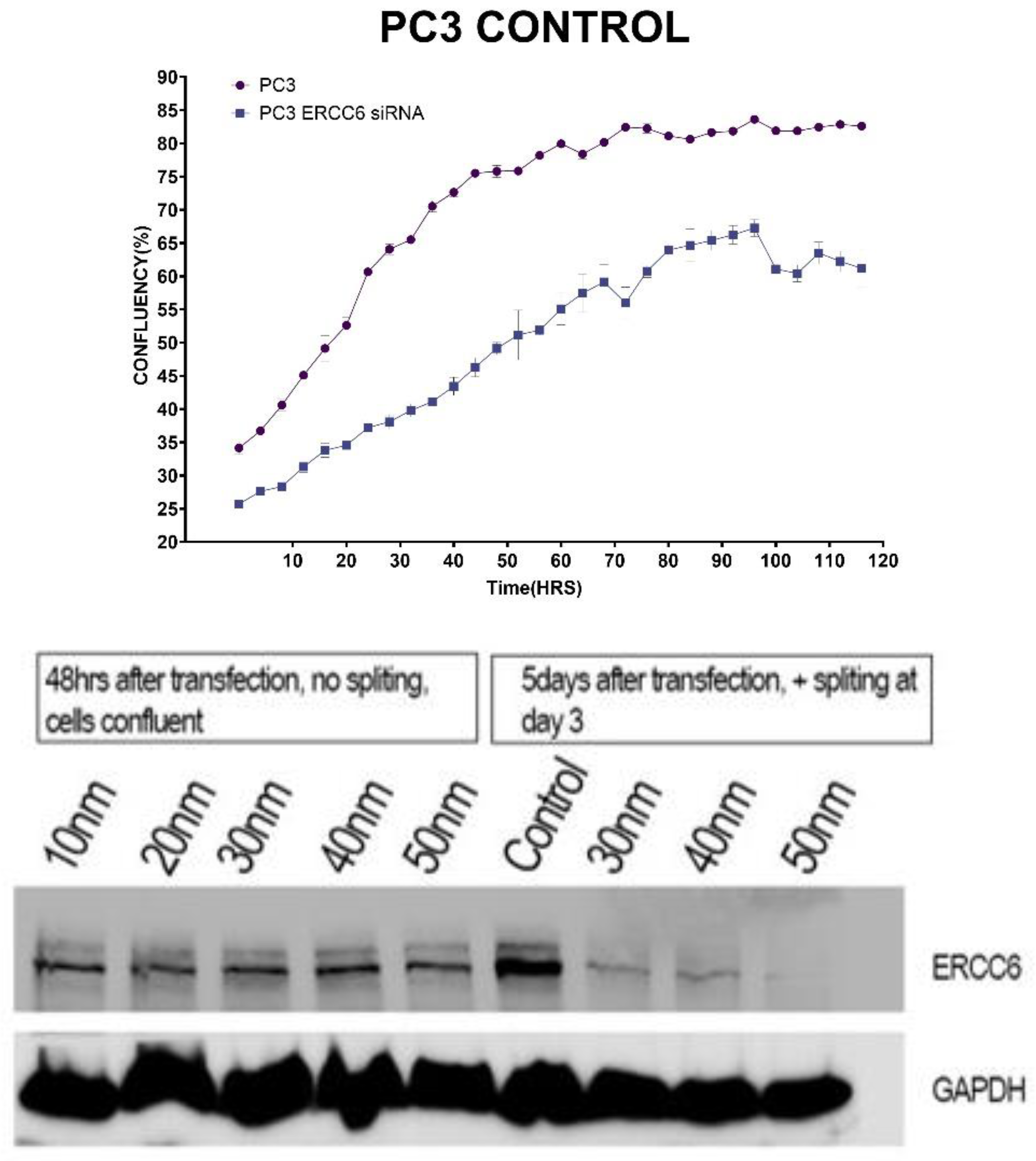 Preprints 163235 g005b