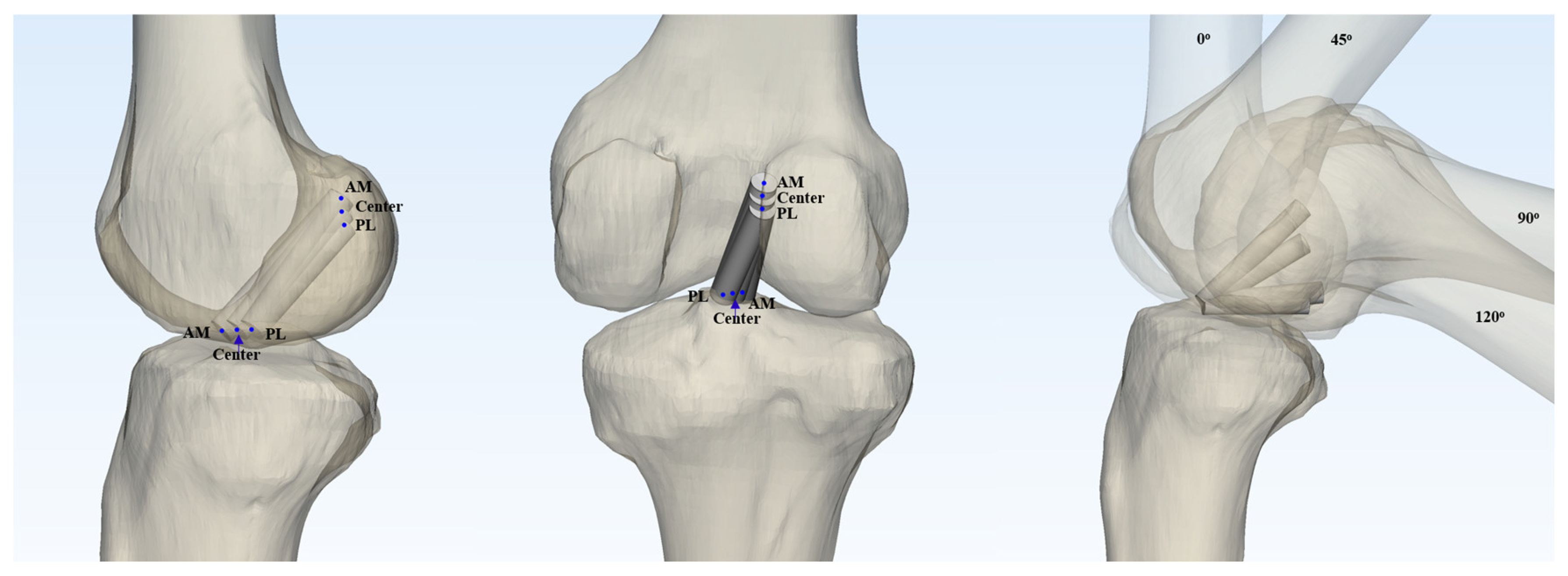 Preprints 158048 g001