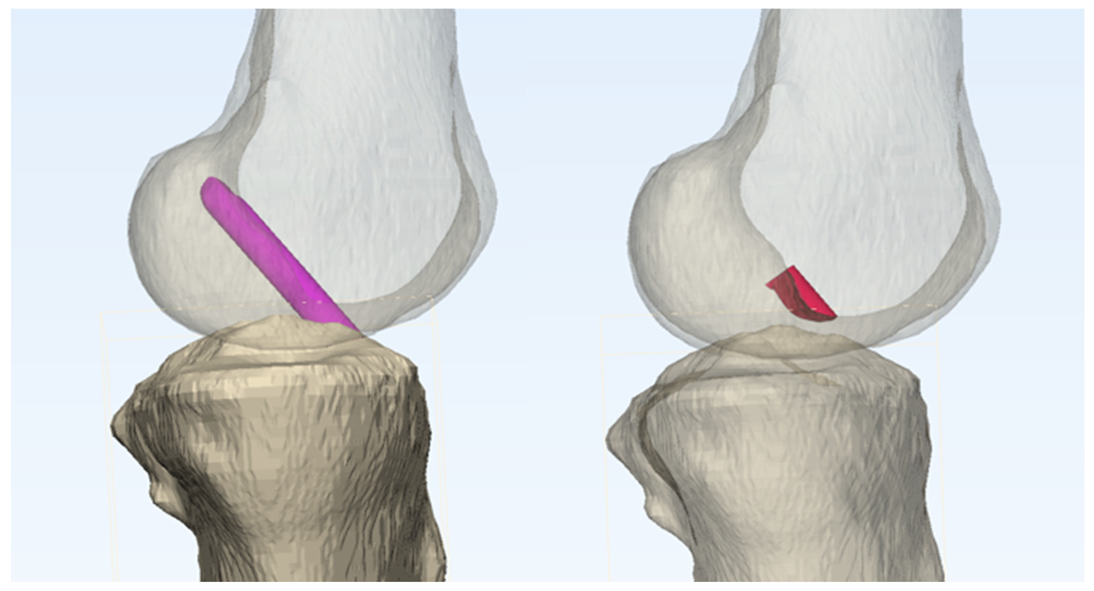 Preprints 158048 g002