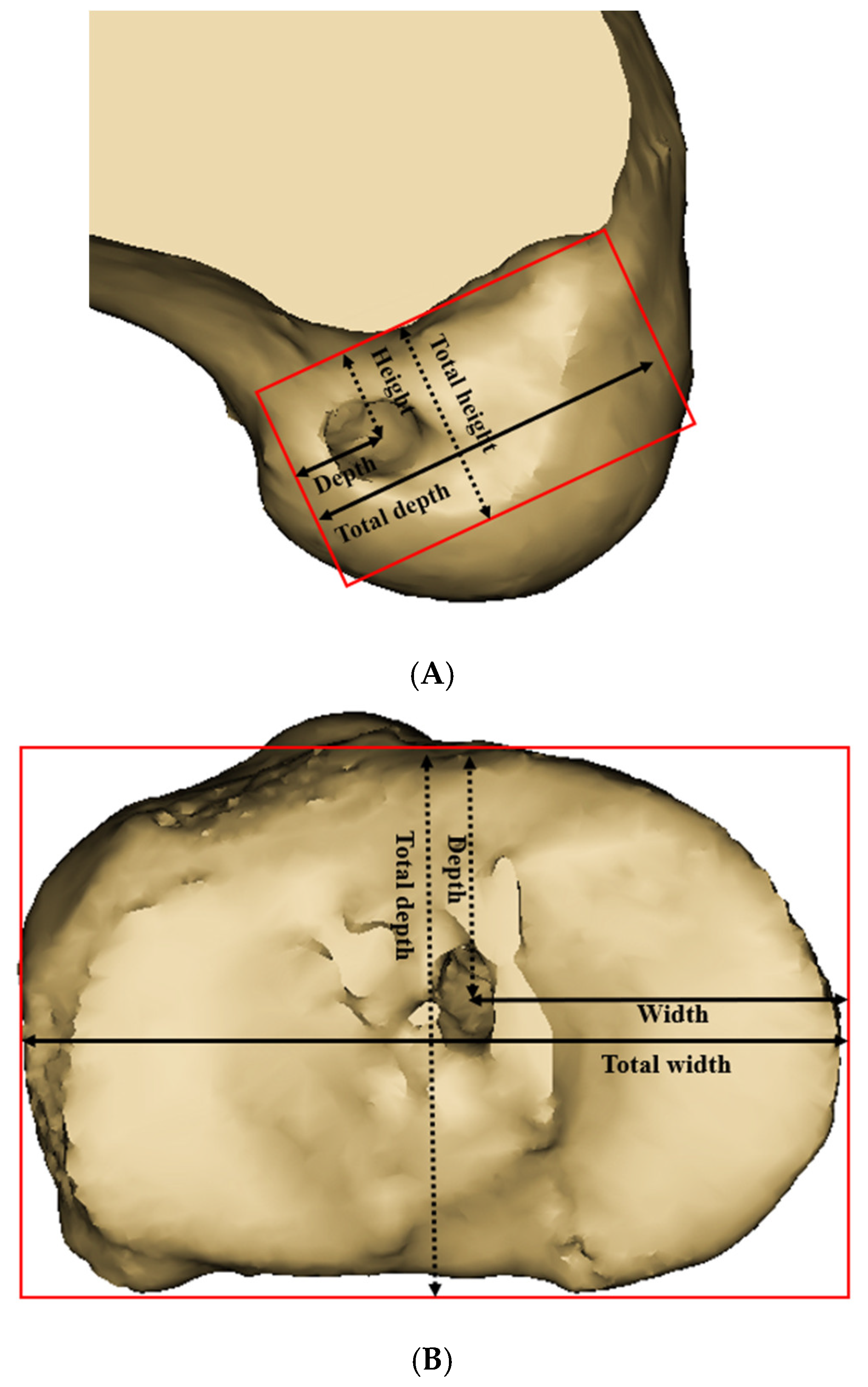 Preprints 158048 g003
