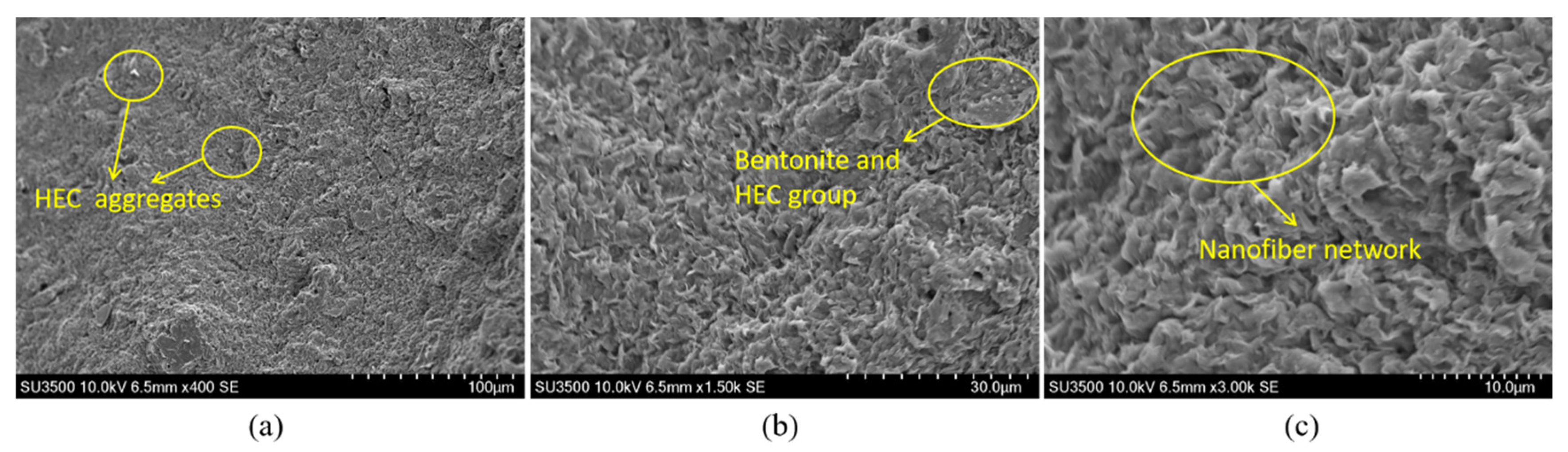 Preprints 158832 g015