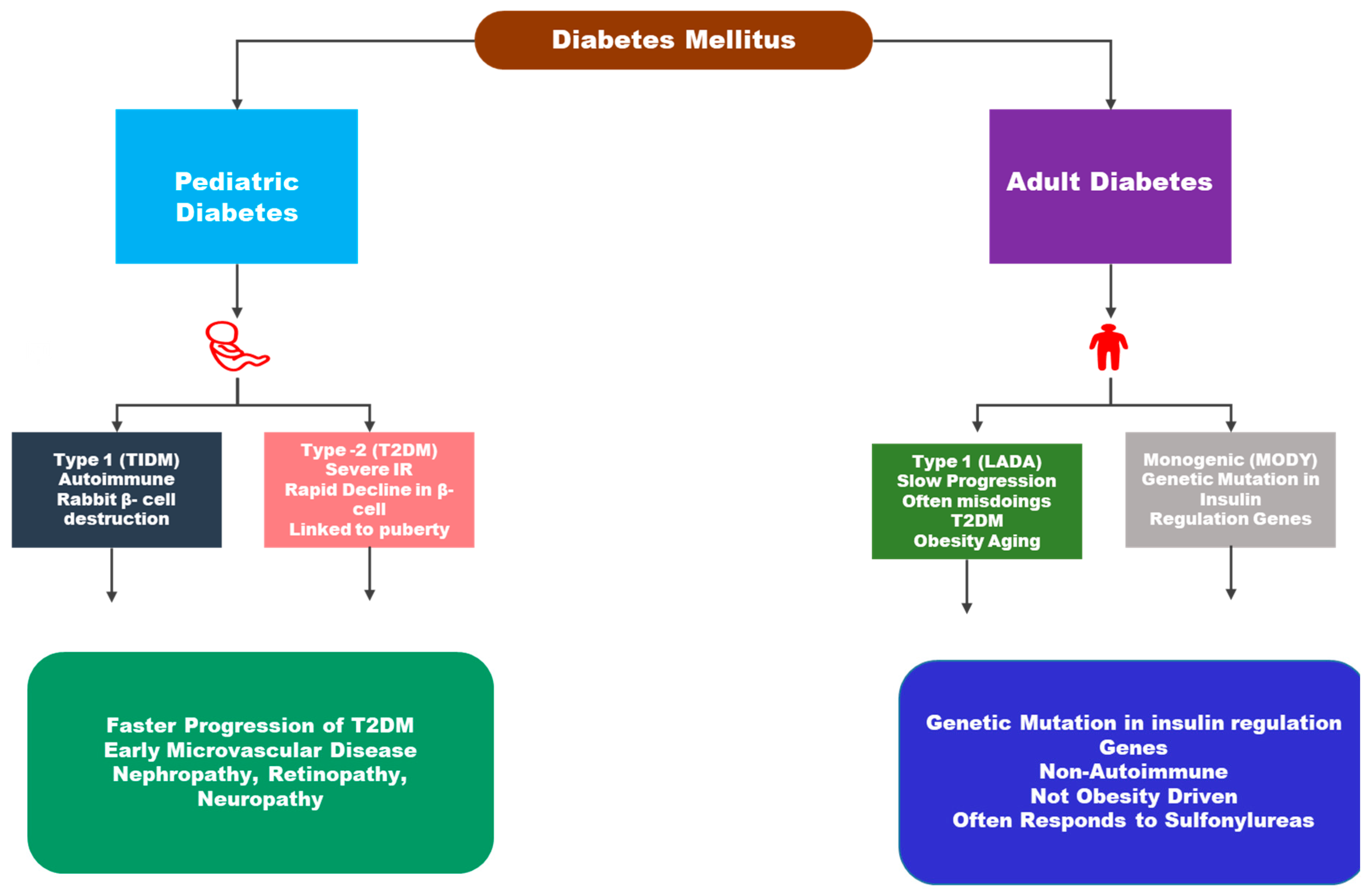Preprints 197382 g001
