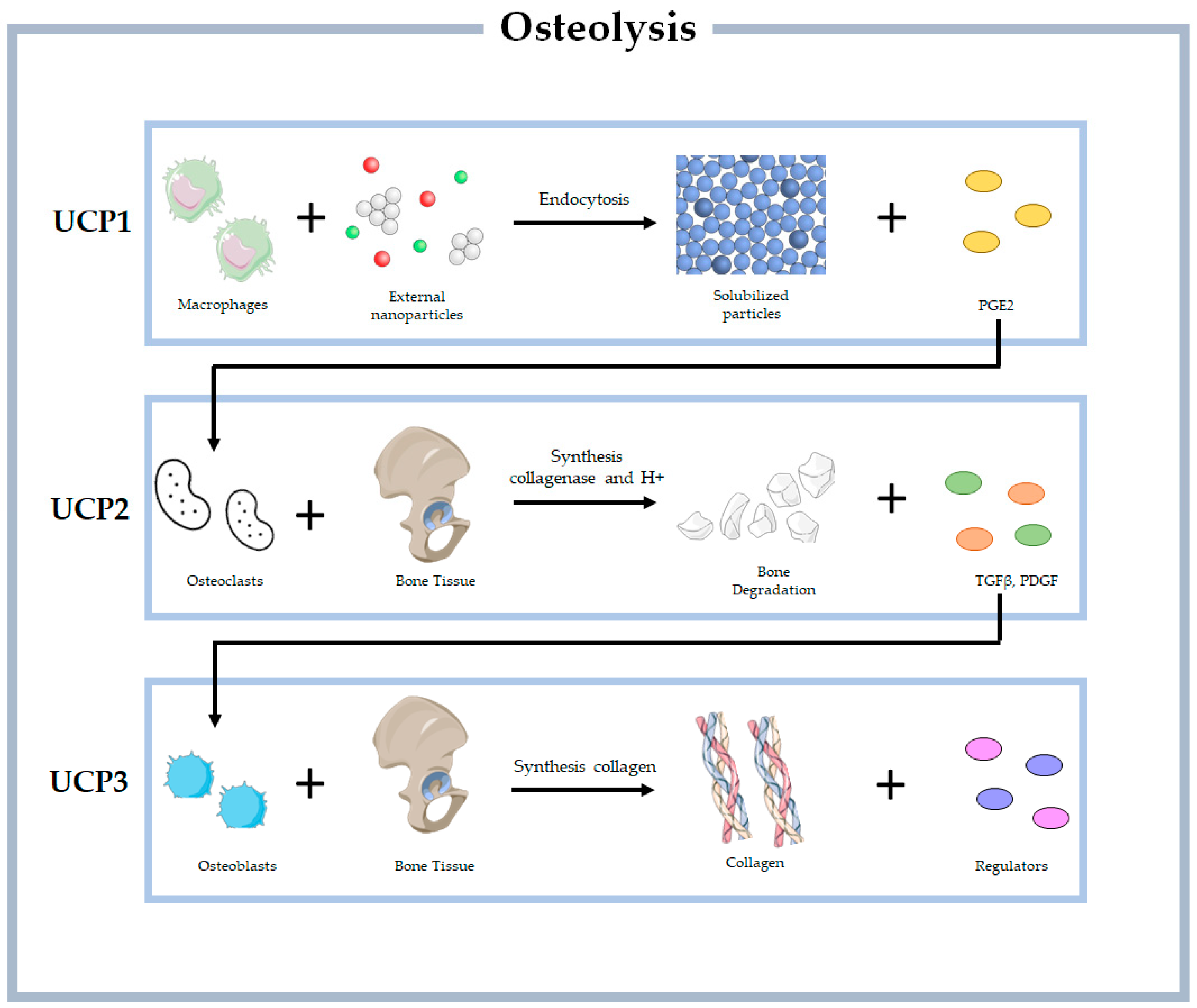 Preprints 81692 g001