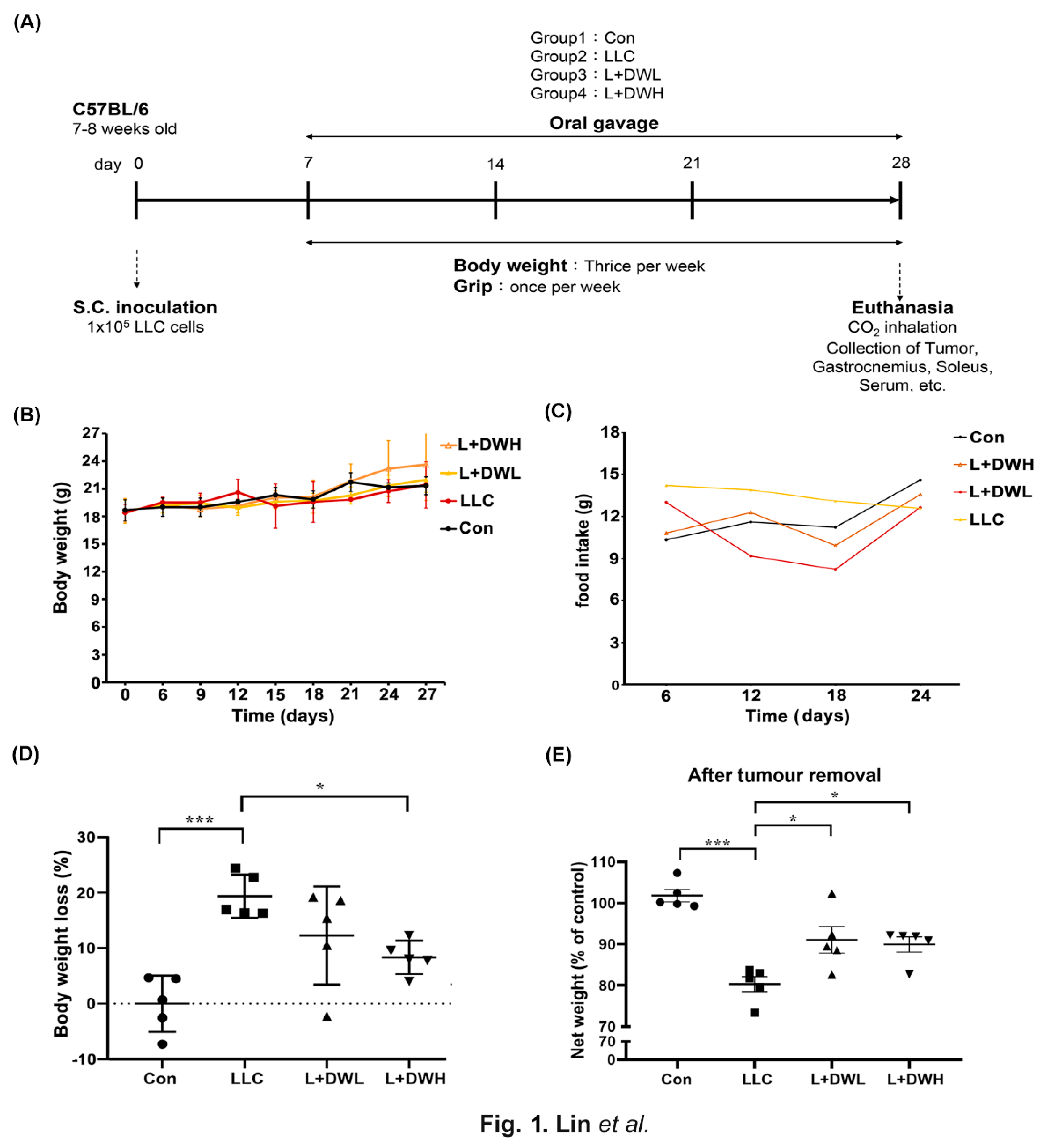 Preprints 179225 g001