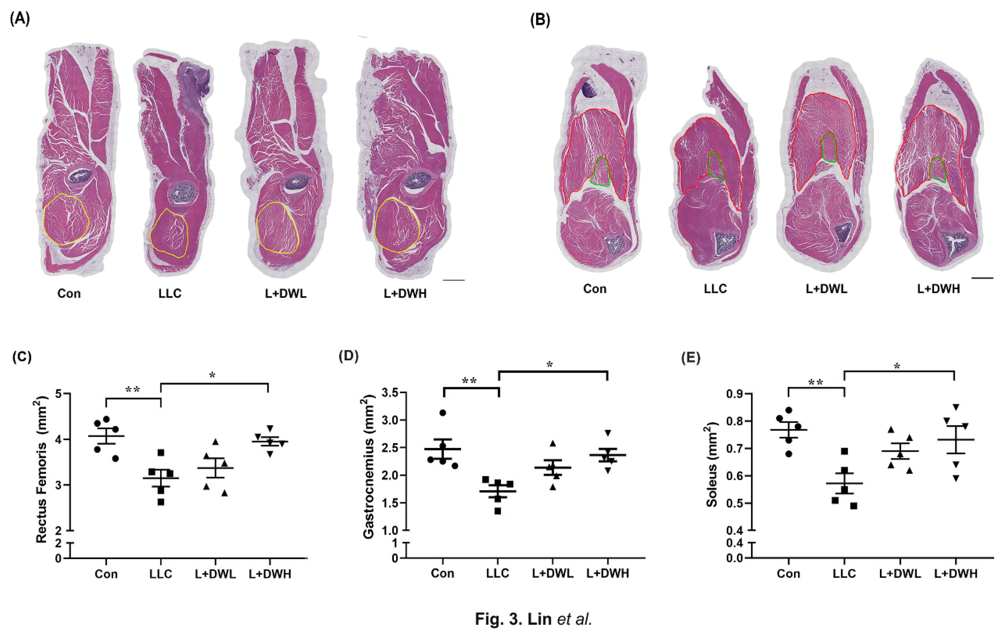 Preprints 179225 g003