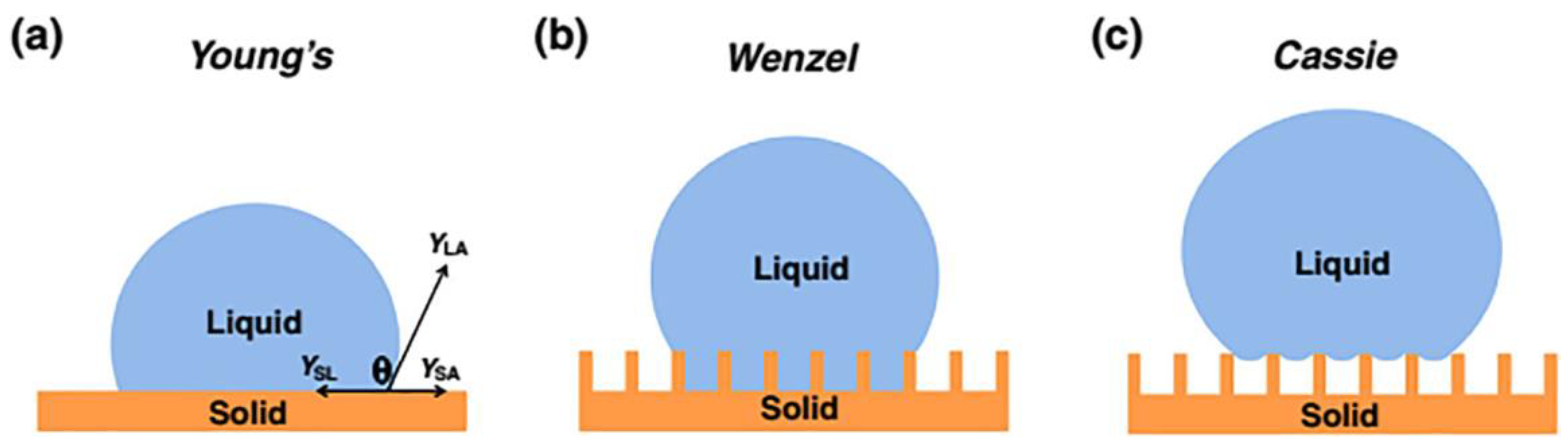 Preprints 75954 g001
