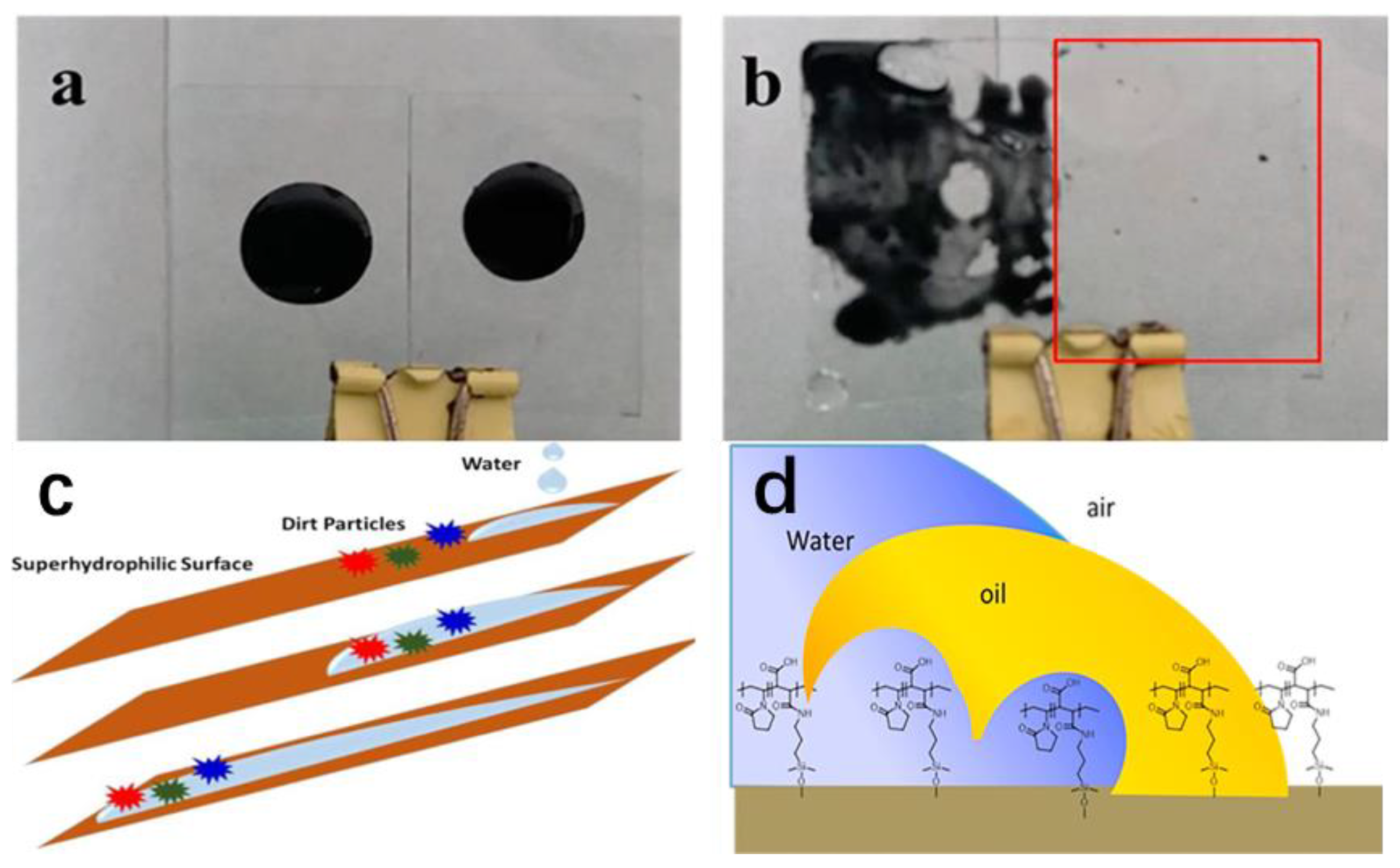 Preprints 75954 g004