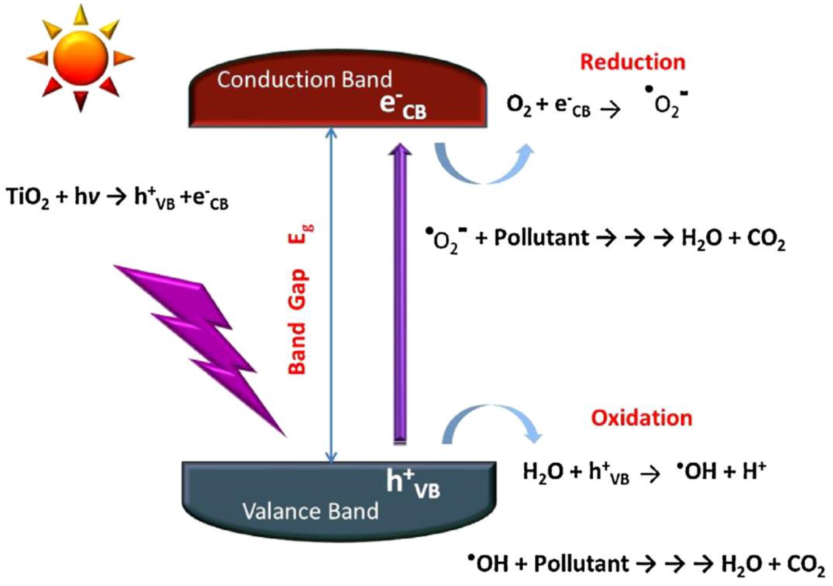 Preprints 75954 g005