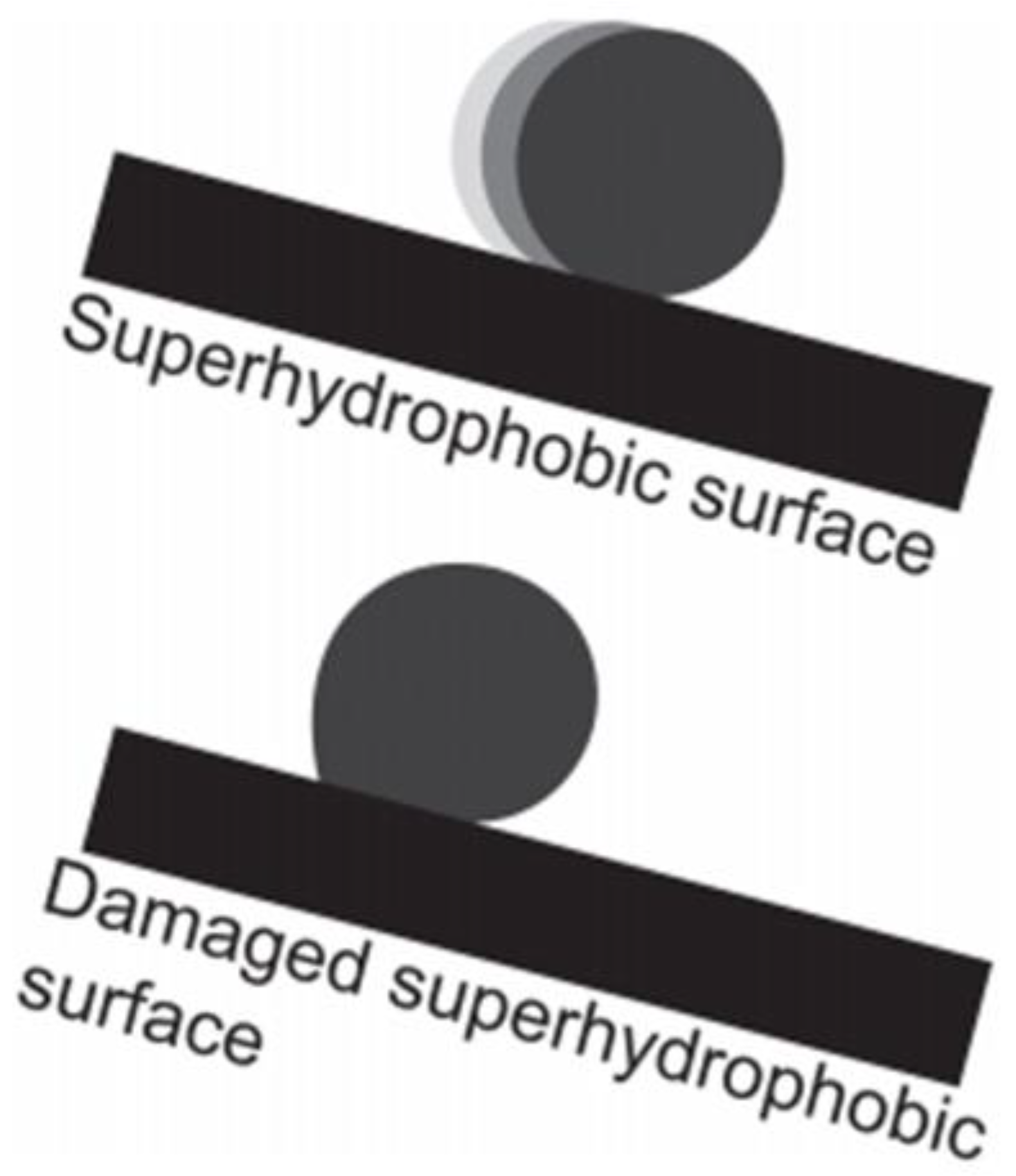 Preprints 75954 g007