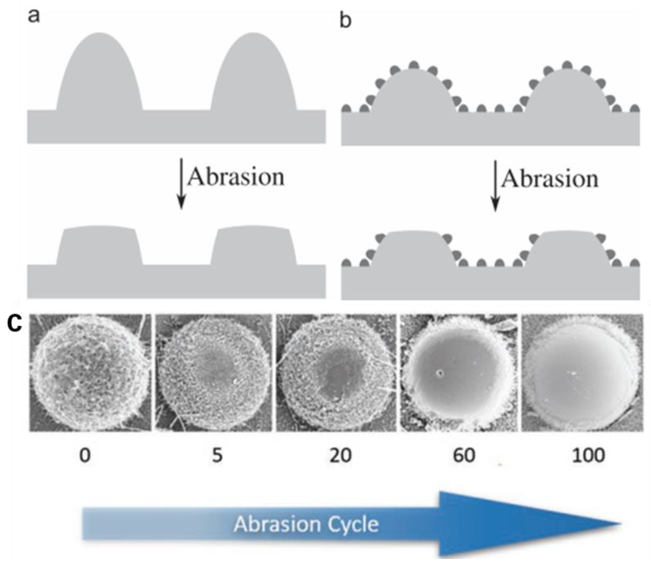 Preprints 75954 g008