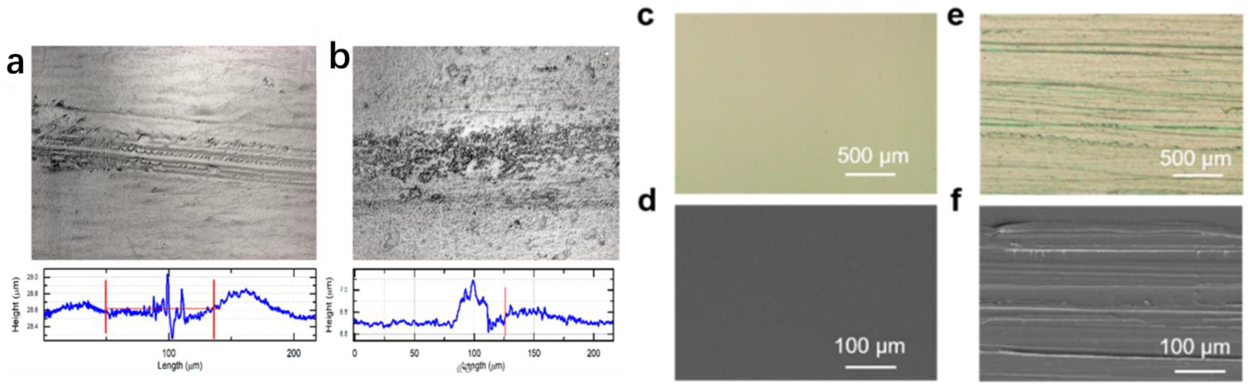 Preprints 75954 g009
