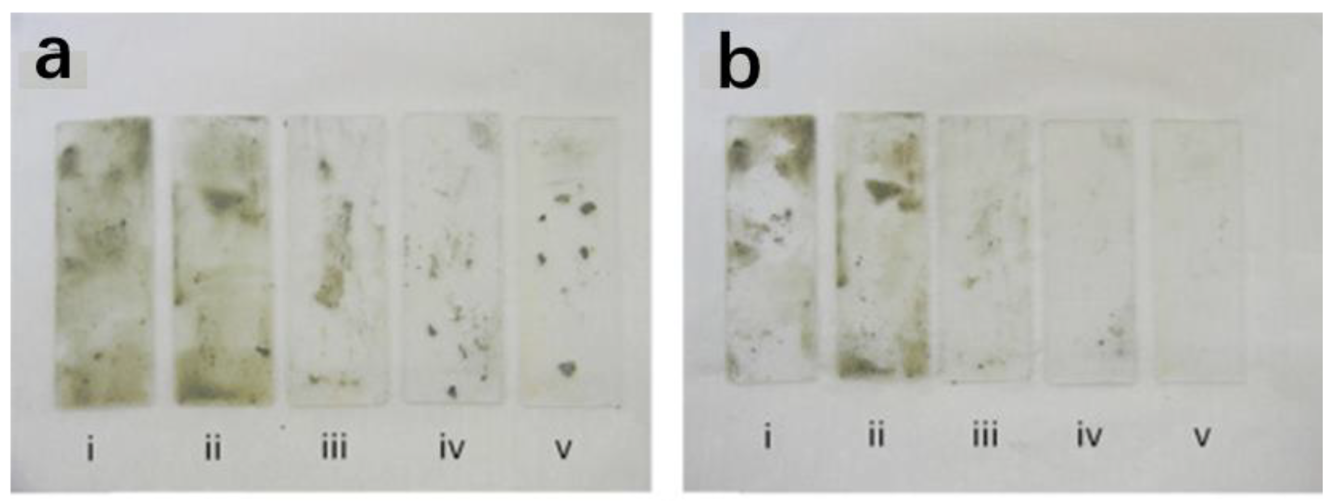 Preprints 75954 g012