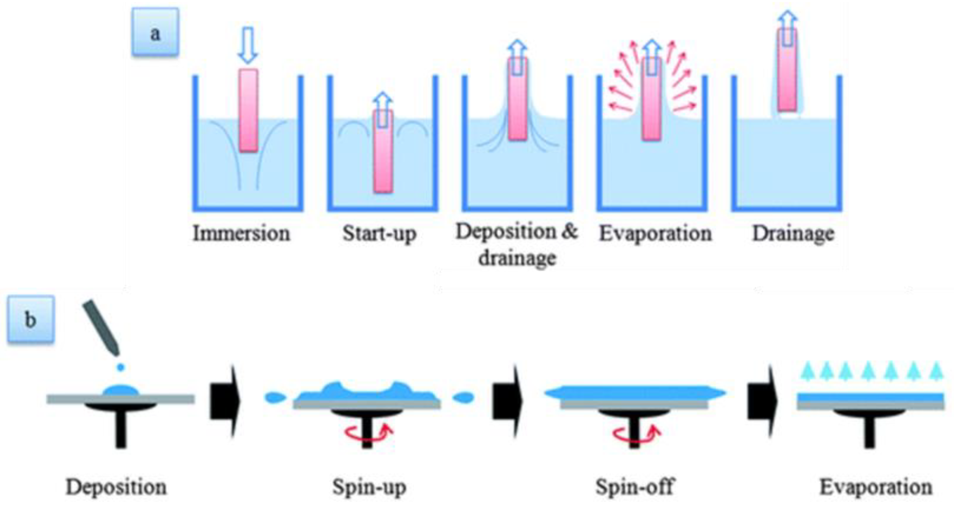Preprints 75954 g014