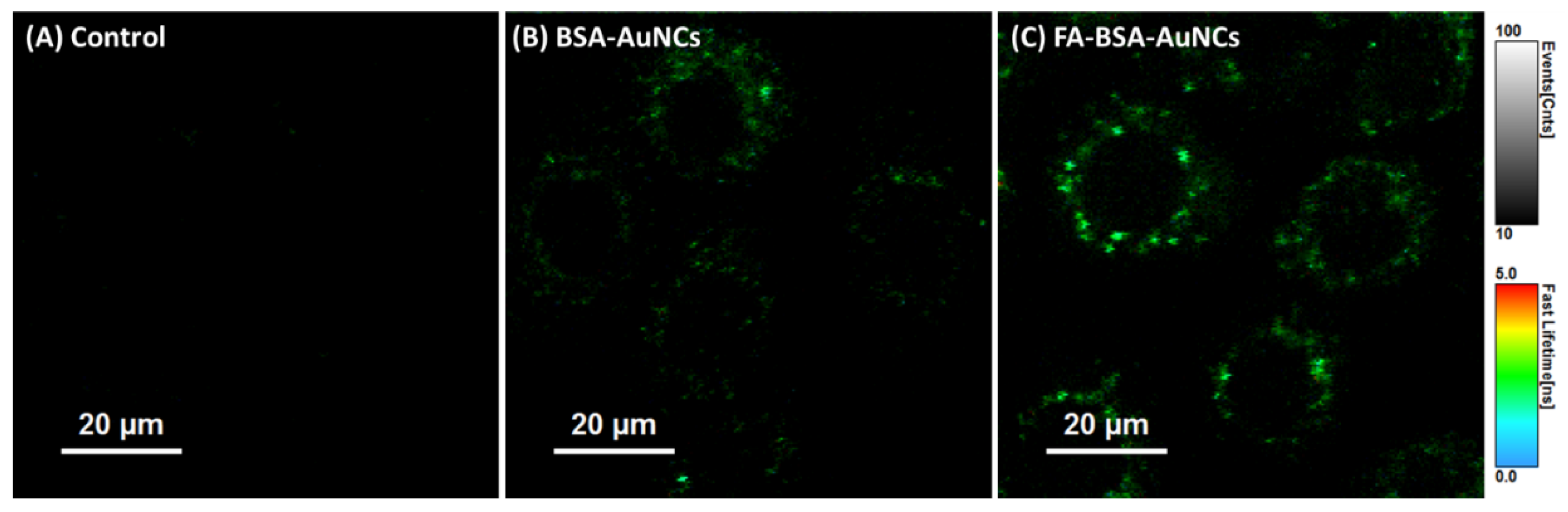 Preprints 174403 g005
