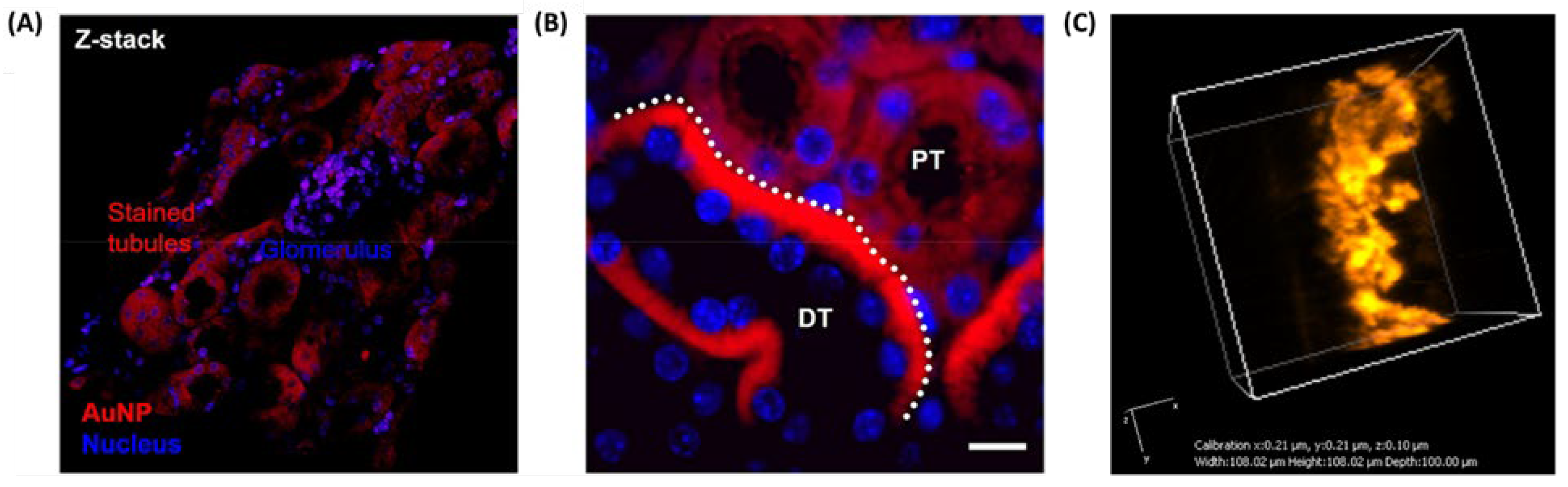 Preprints 174403 g006