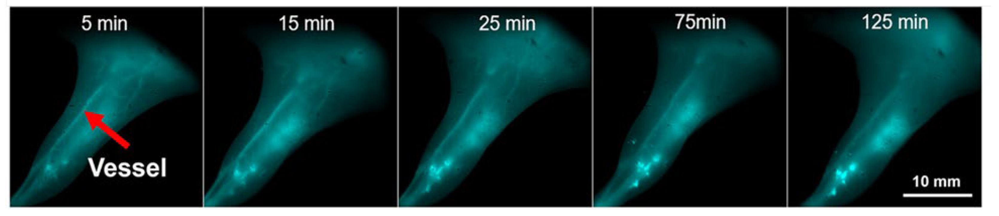 Preprints 174403 g007