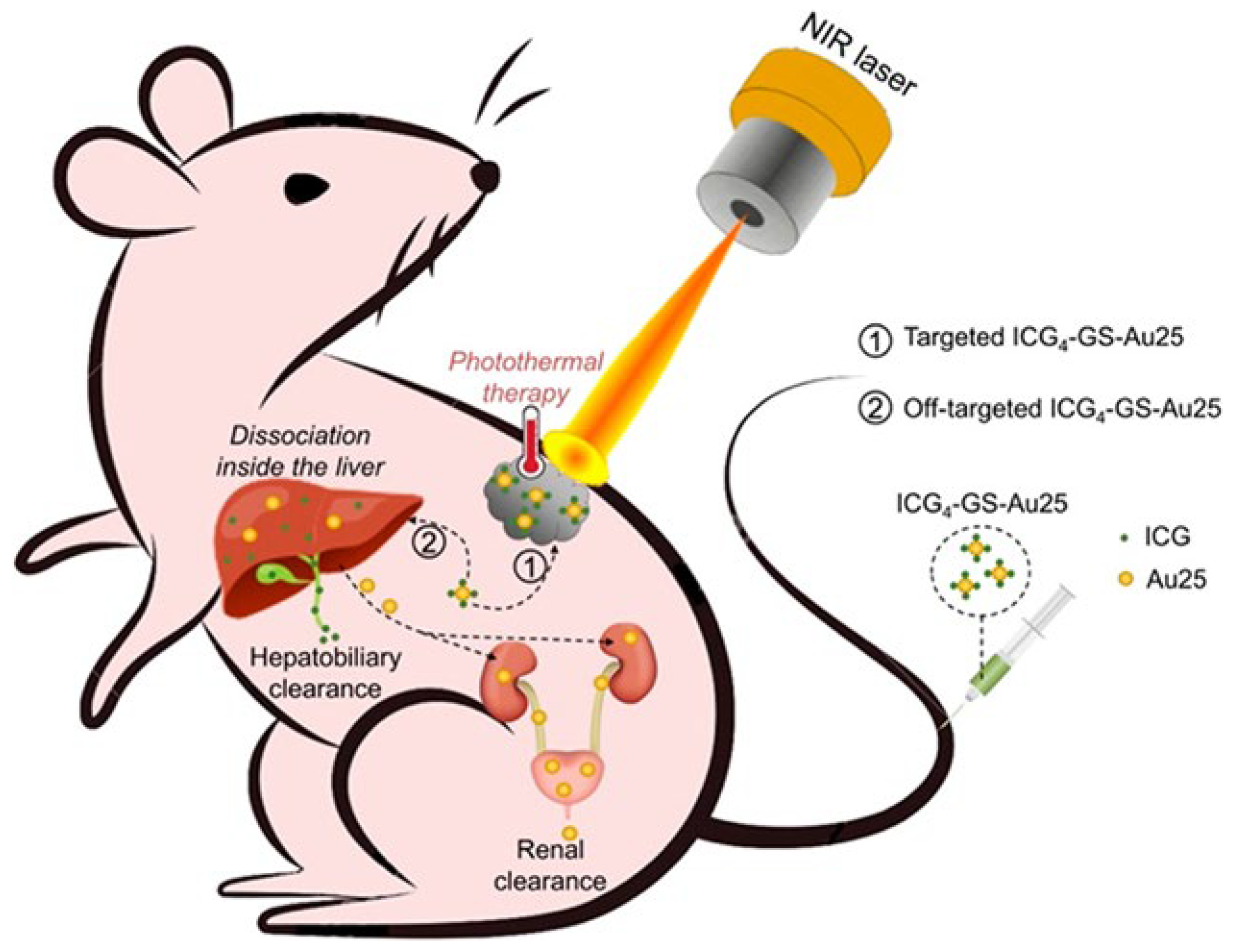 Preprints 174403 g008