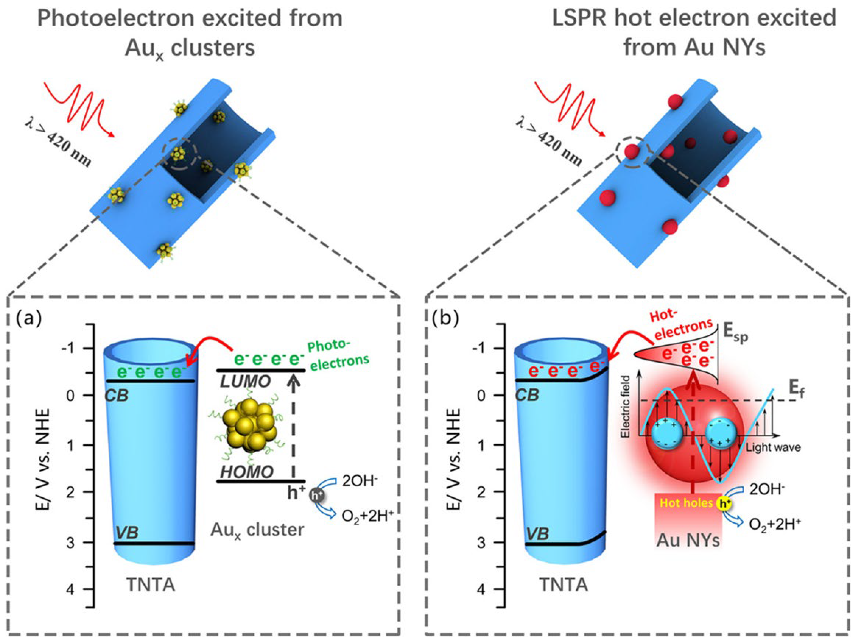 Preprints 174403 g012