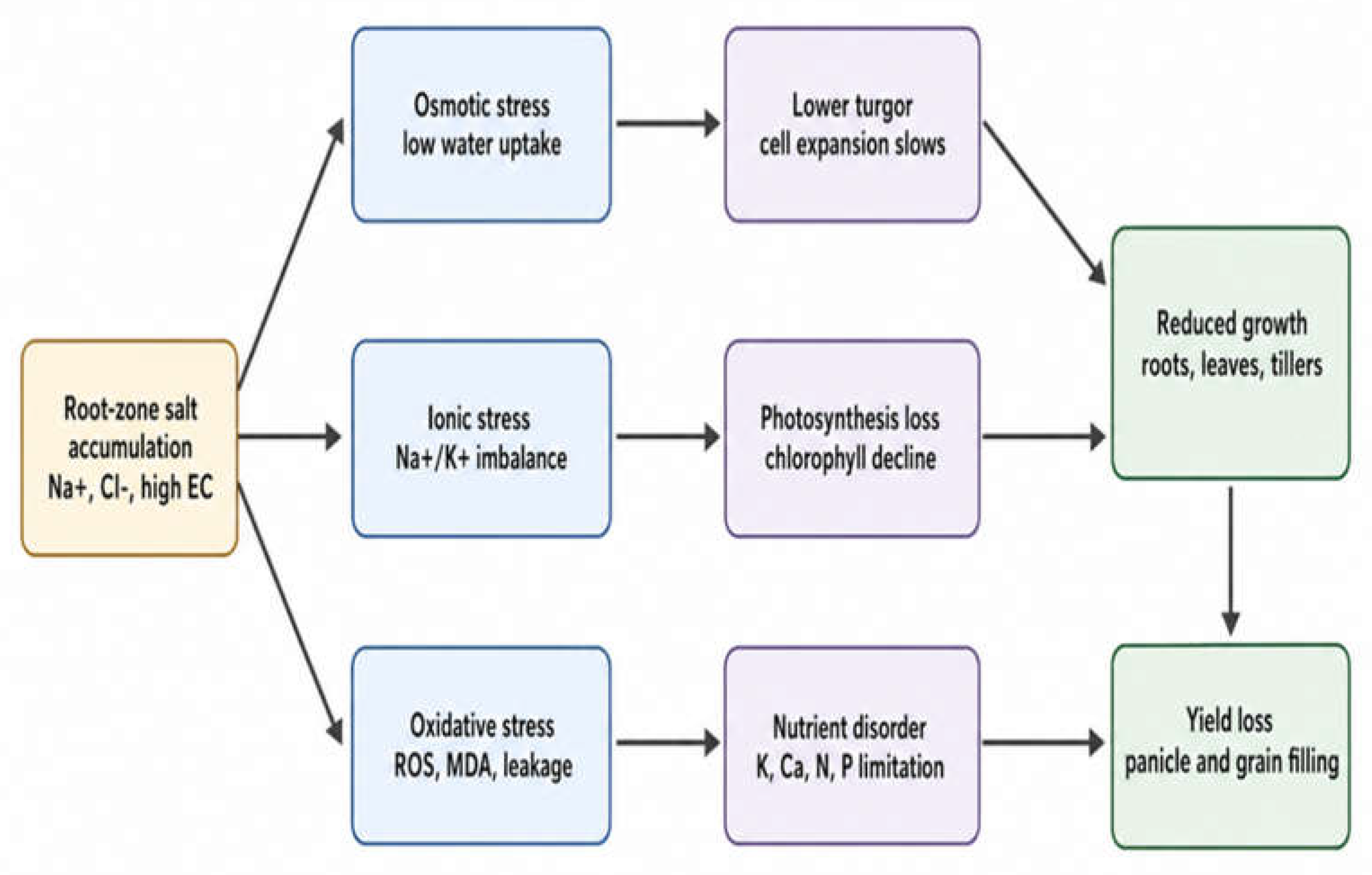 Preprints 226938 g002 Preprints 226938 g002