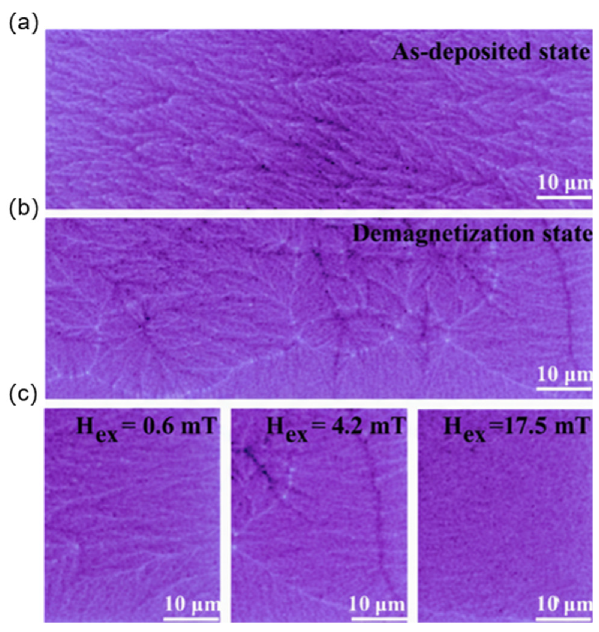 Preprints 200607 g005