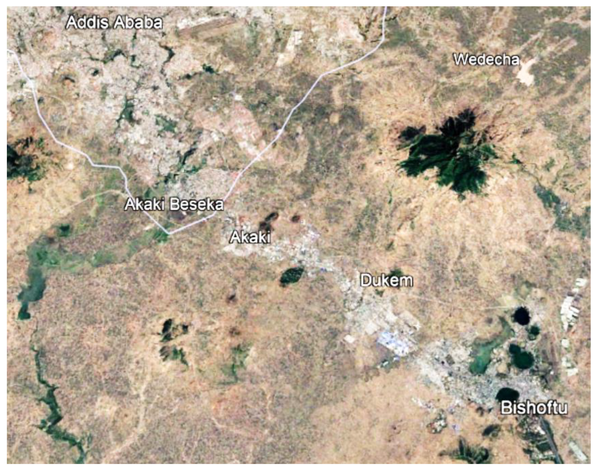 Preprints 82457 g008