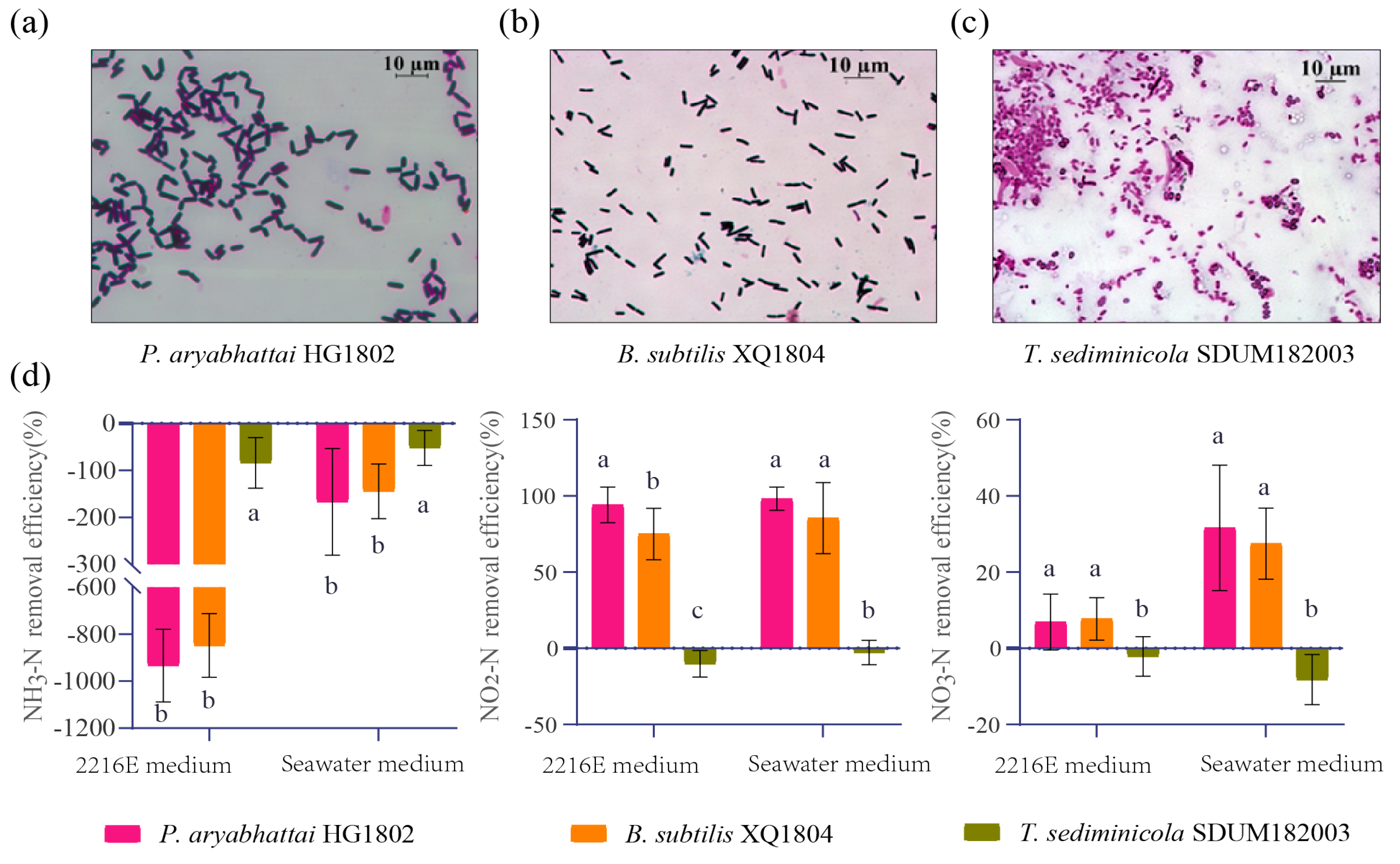 Preprints 143722 g004