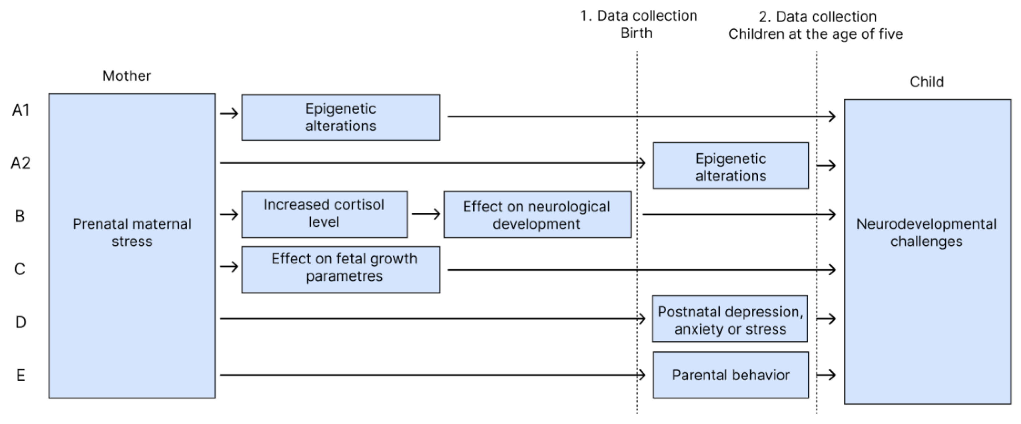 Preprints 162652 g004