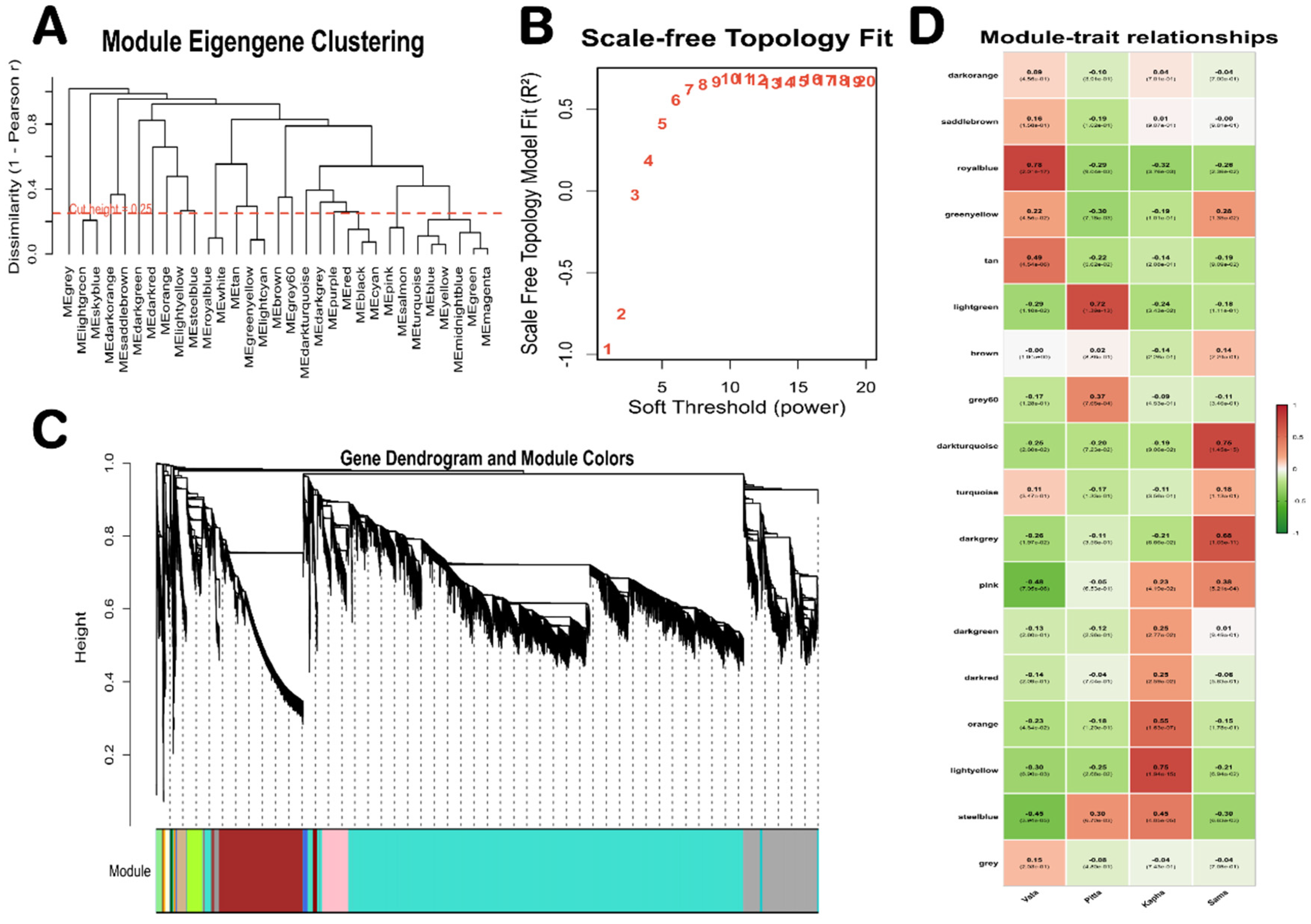 Preprints 230675 g002 Preprints 230675 g002