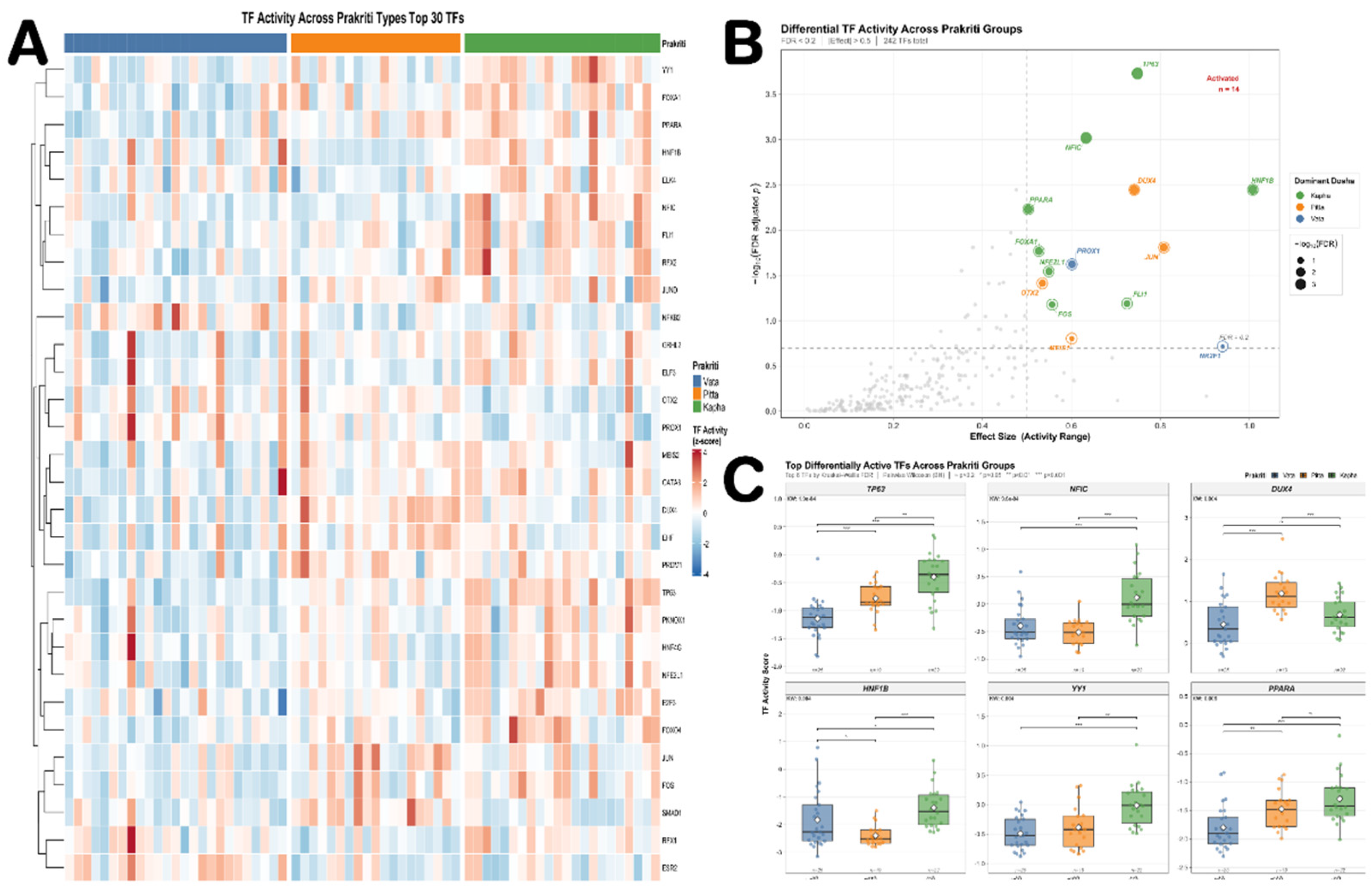 Preprints 230675 g005 Preprints 230675 g005