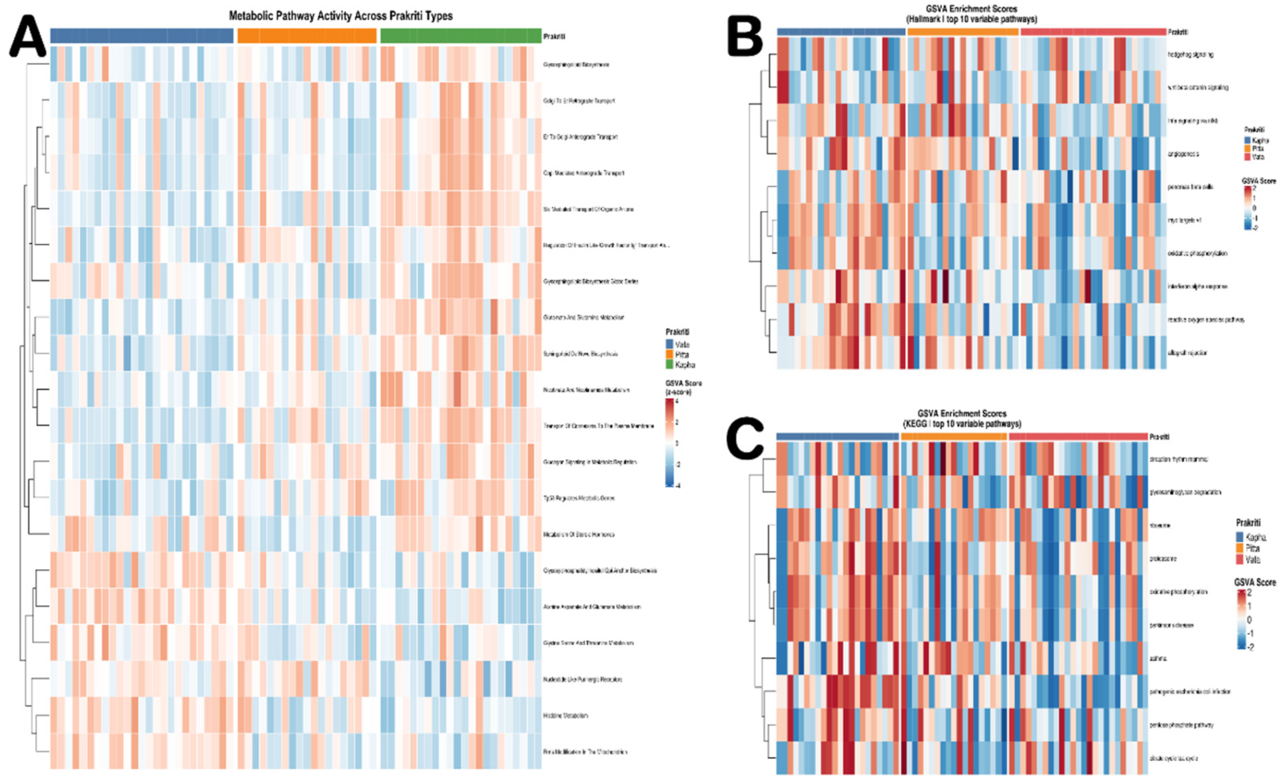 Preprints 230675 g006 Preprints 230675 g006