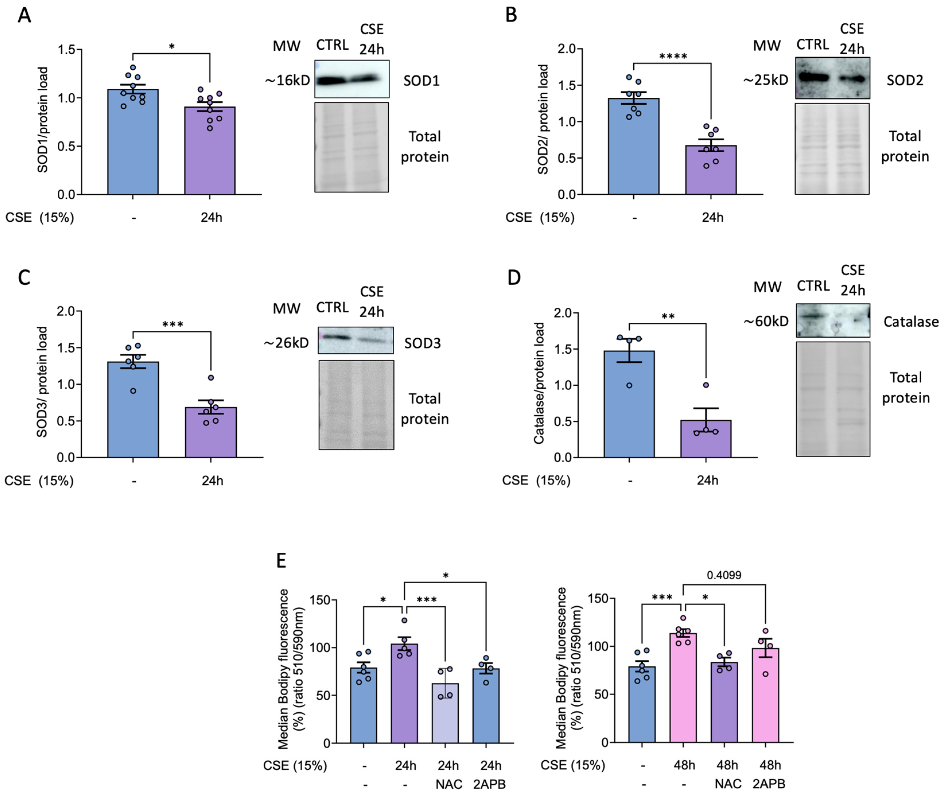 Preprints 159552 g003