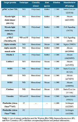 Preprints 159552 i001