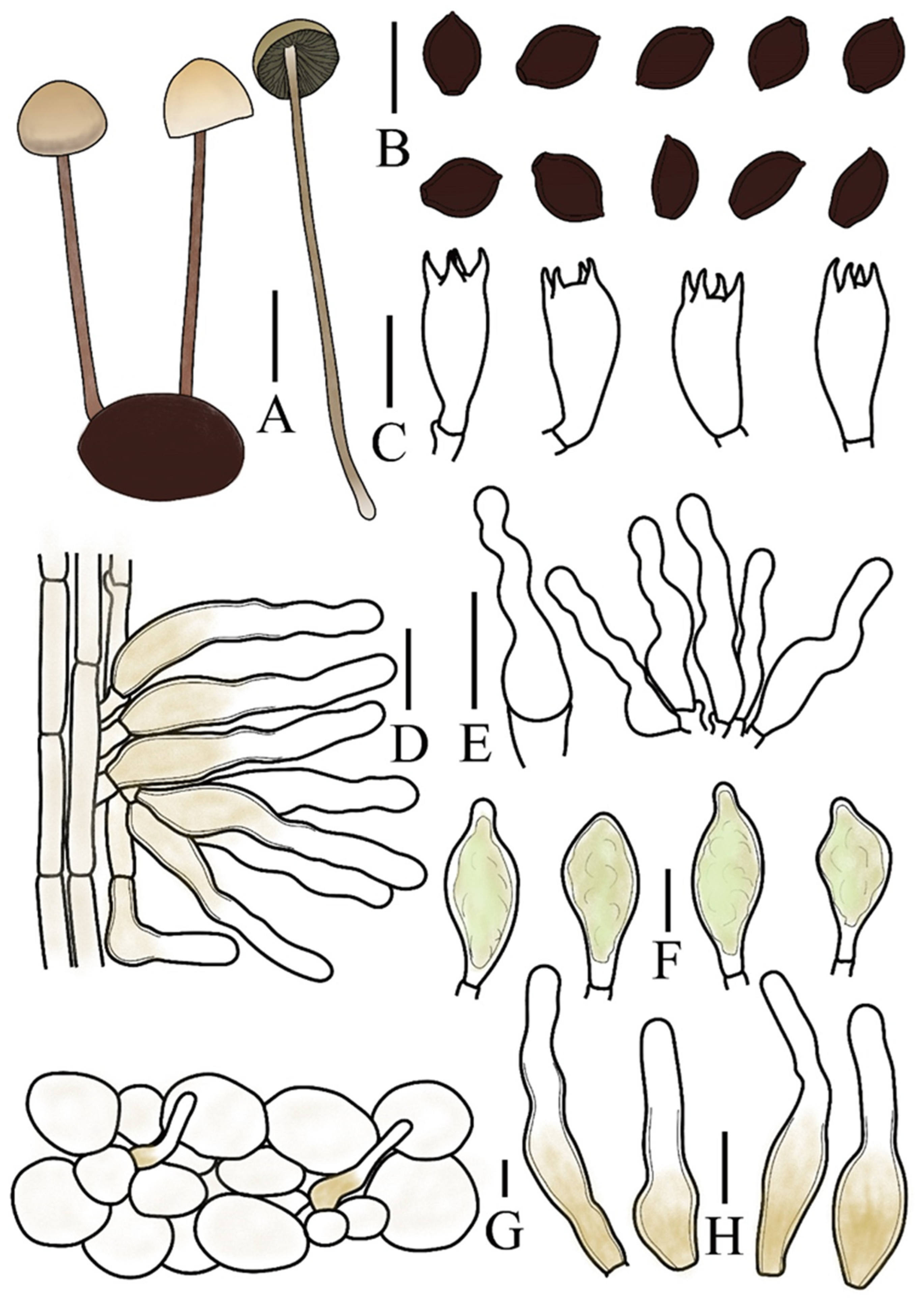 Preprints 197343 g003
