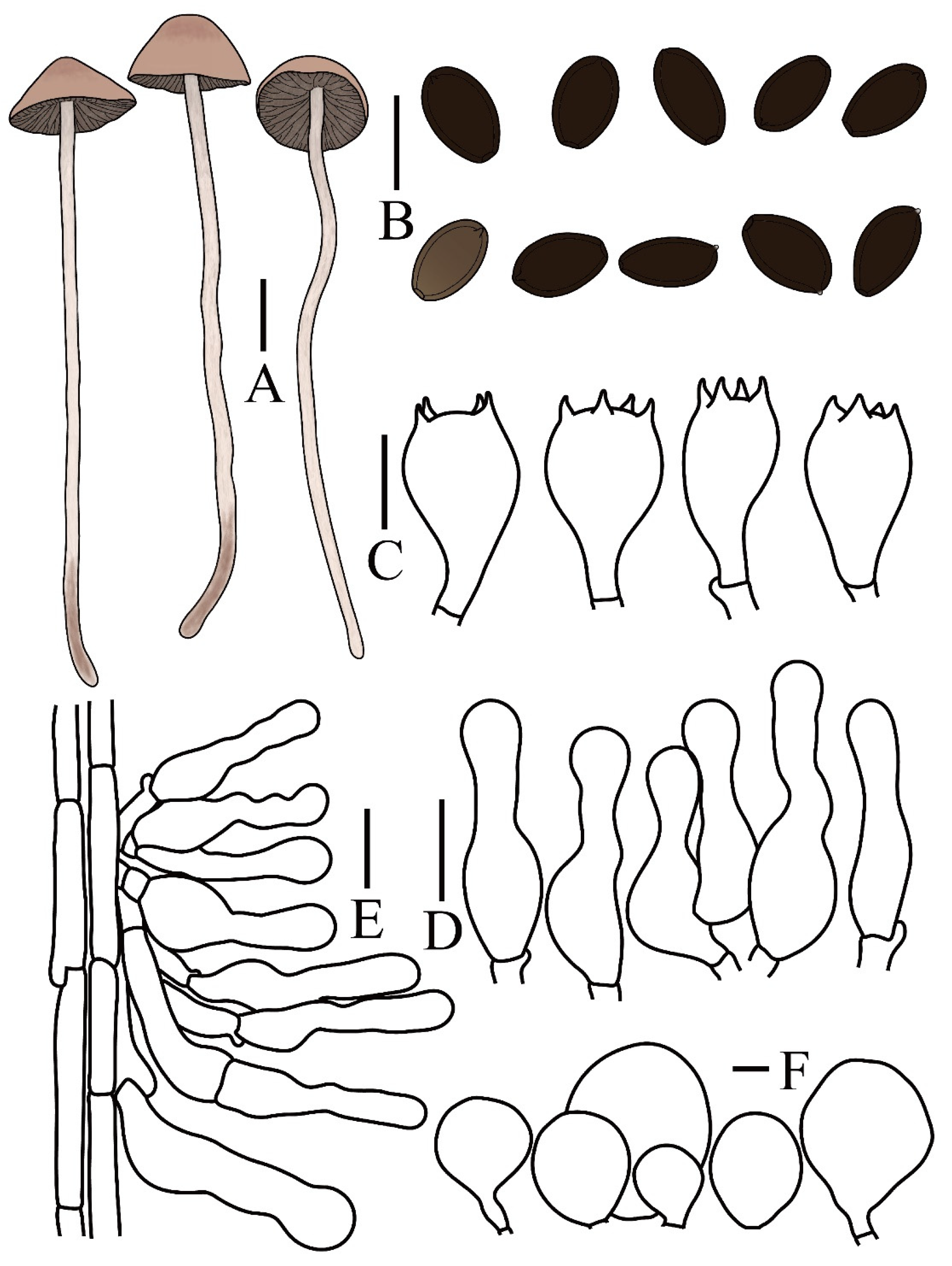 Preprints 197343 g004