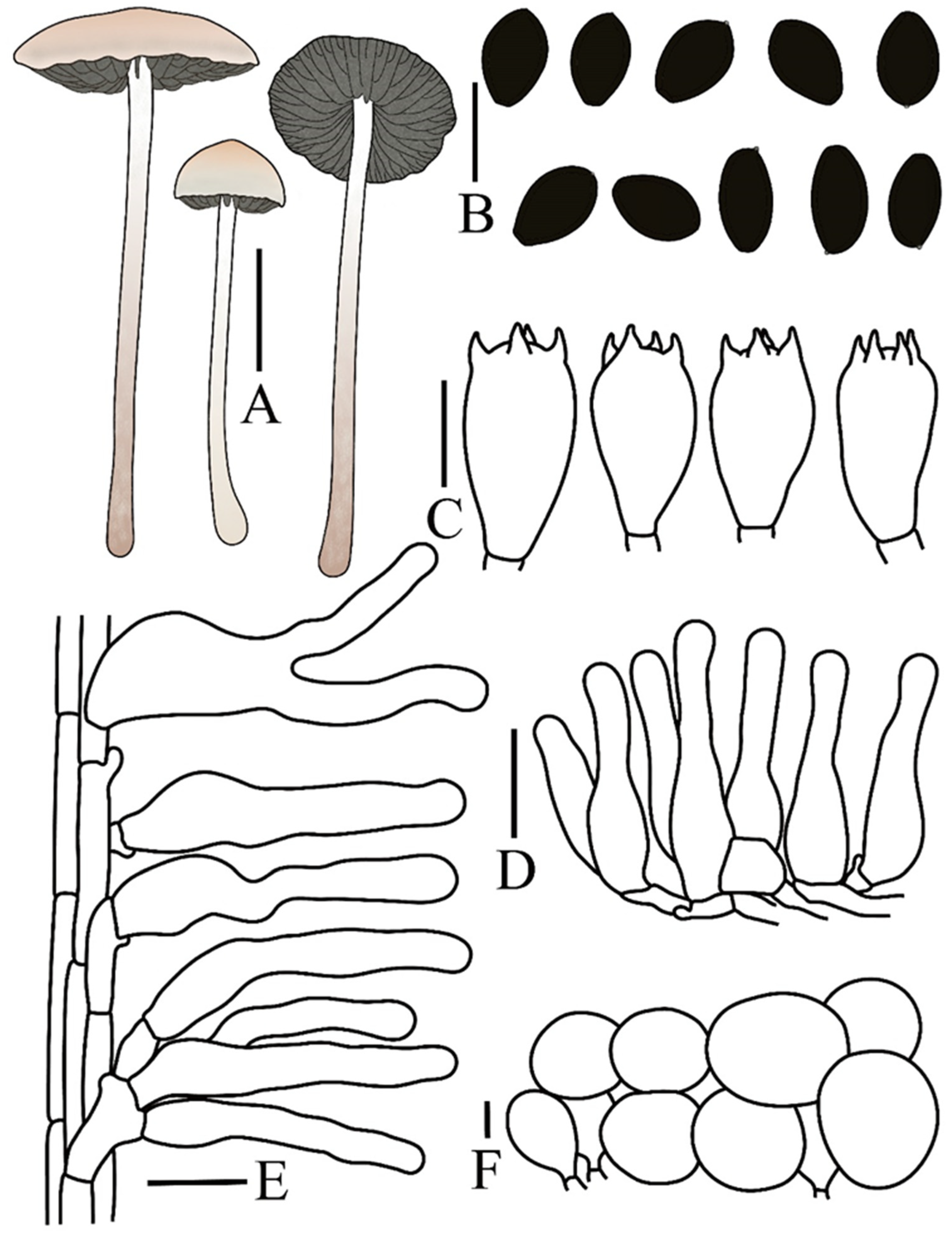 Preprints 197343 g005