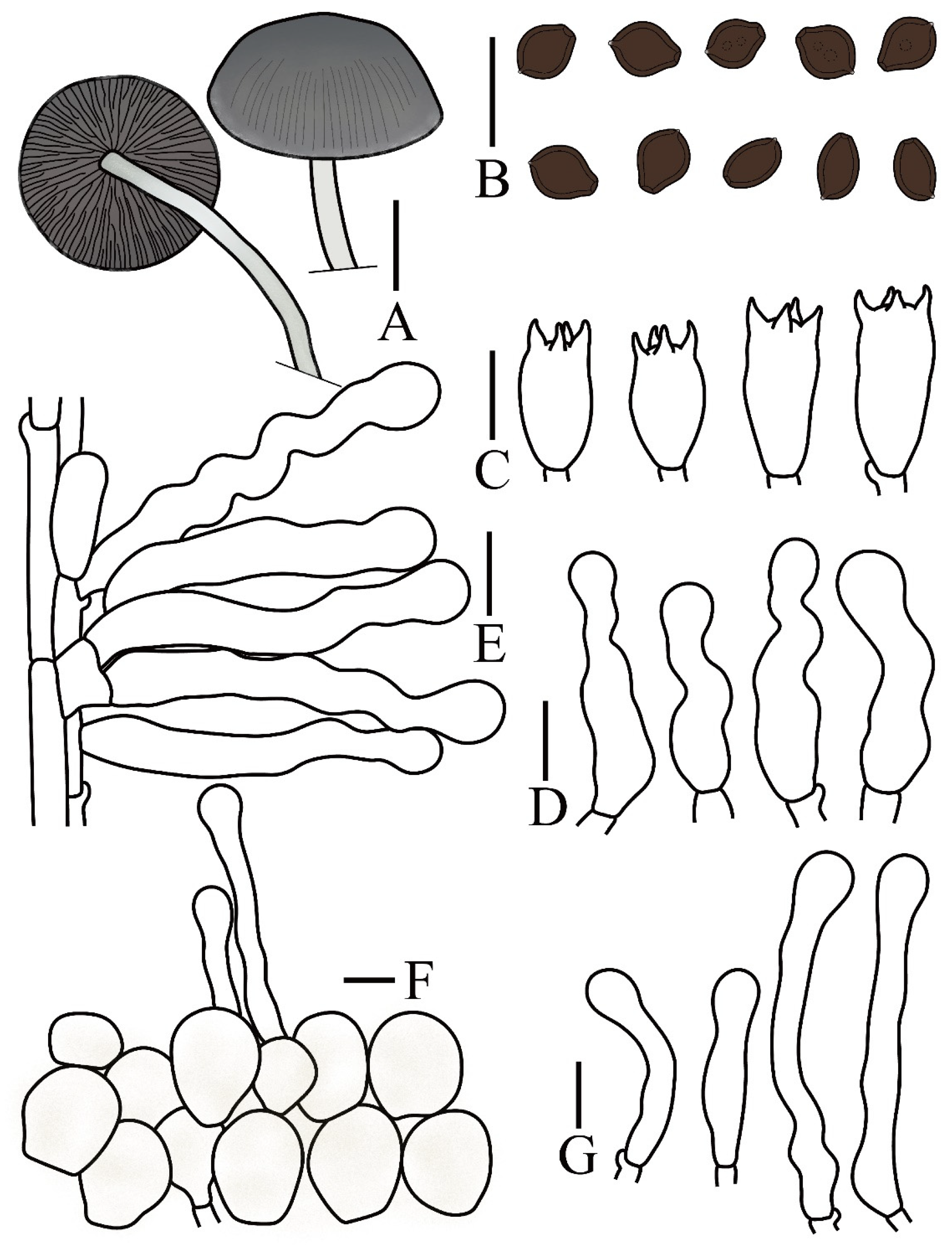 Preprints 197343 g006