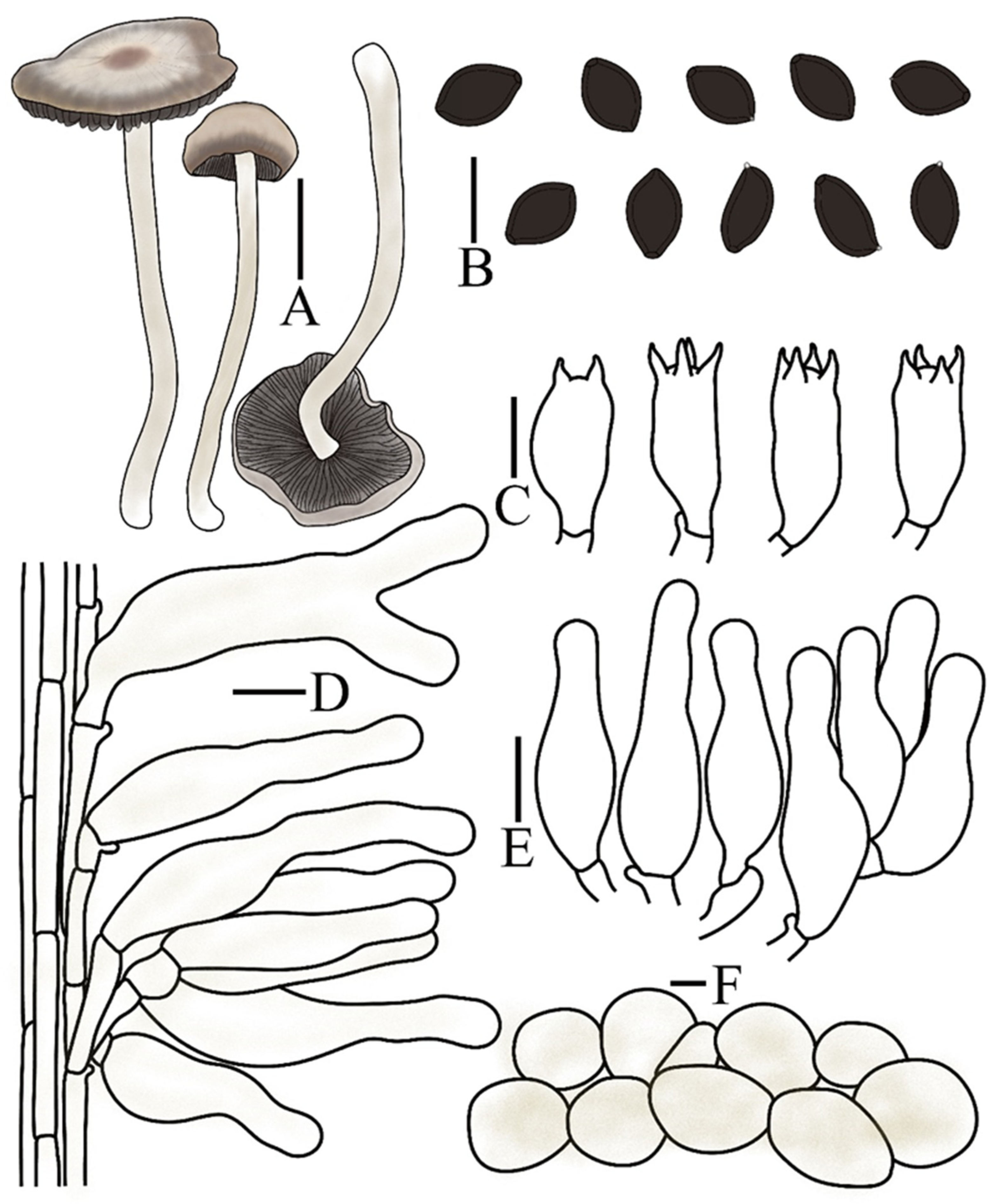 Preprints 197343 g007