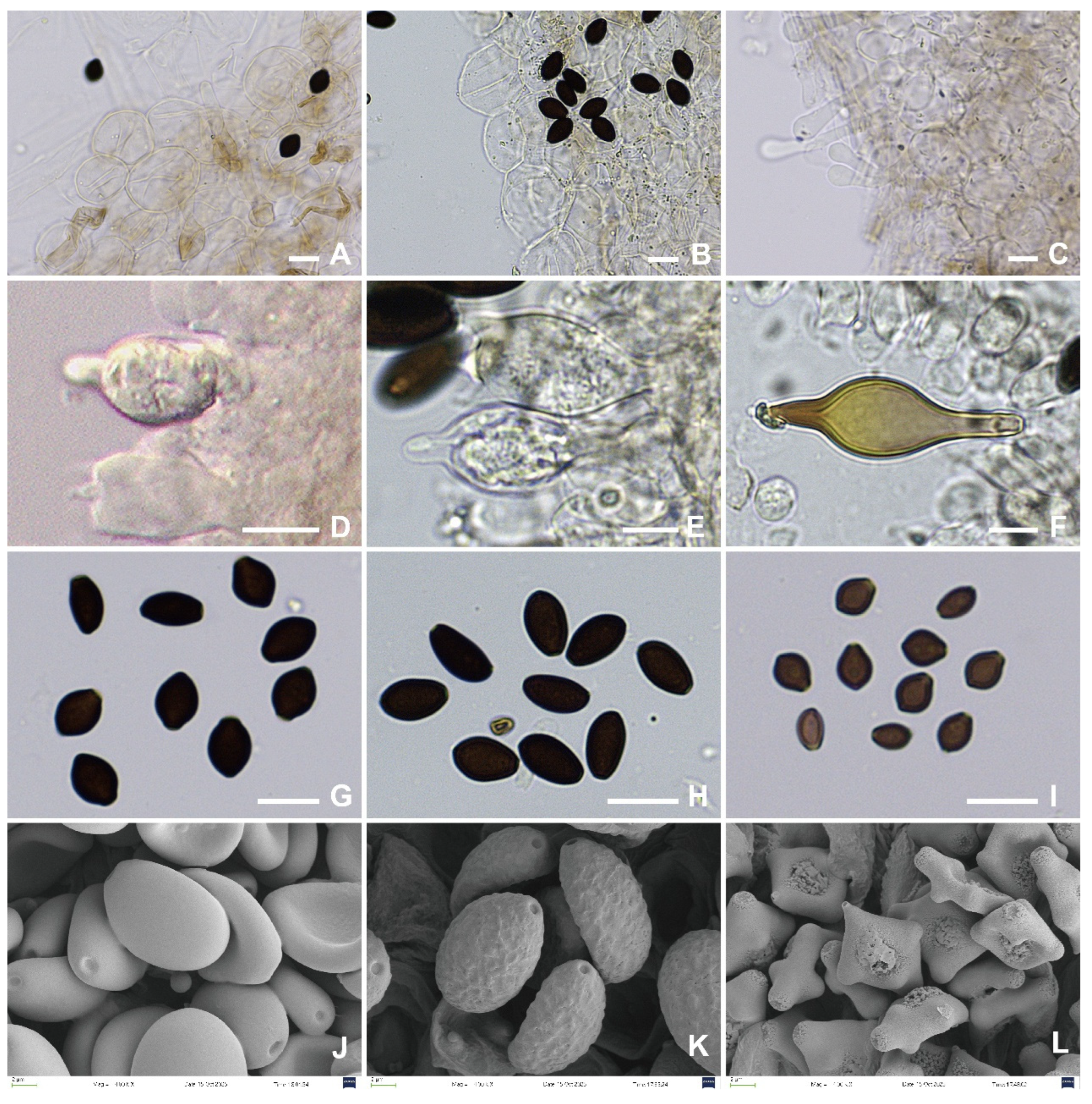 Preprints 197343 g008