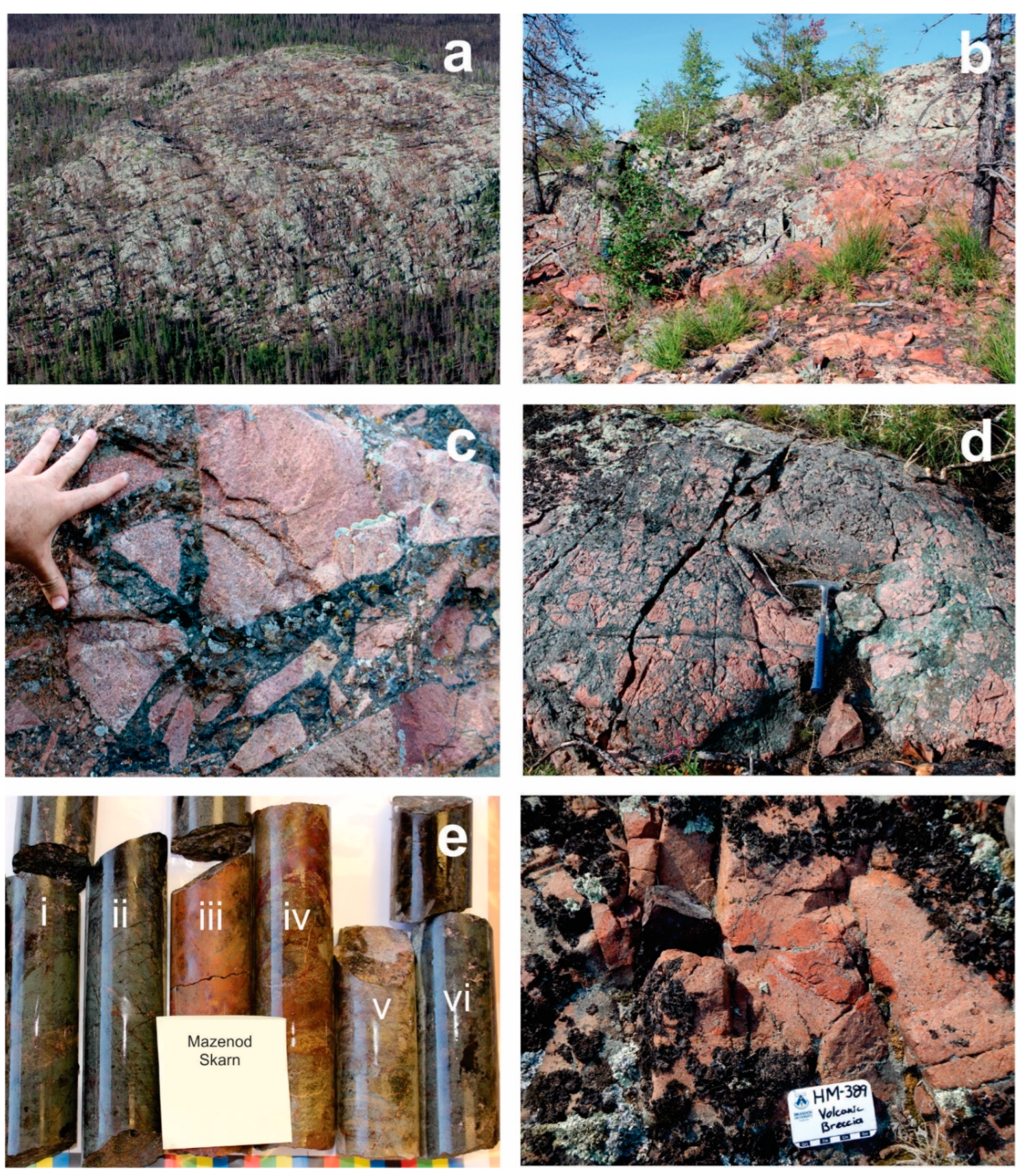 Preprints 81837 g010