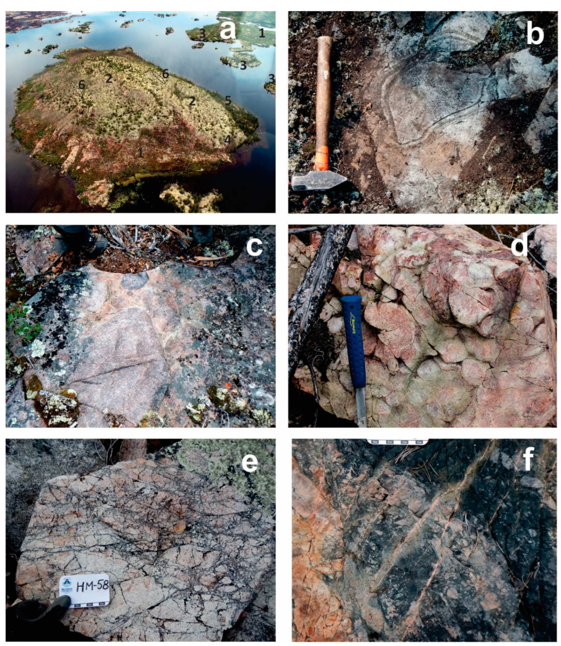 Preprints 81837 g012