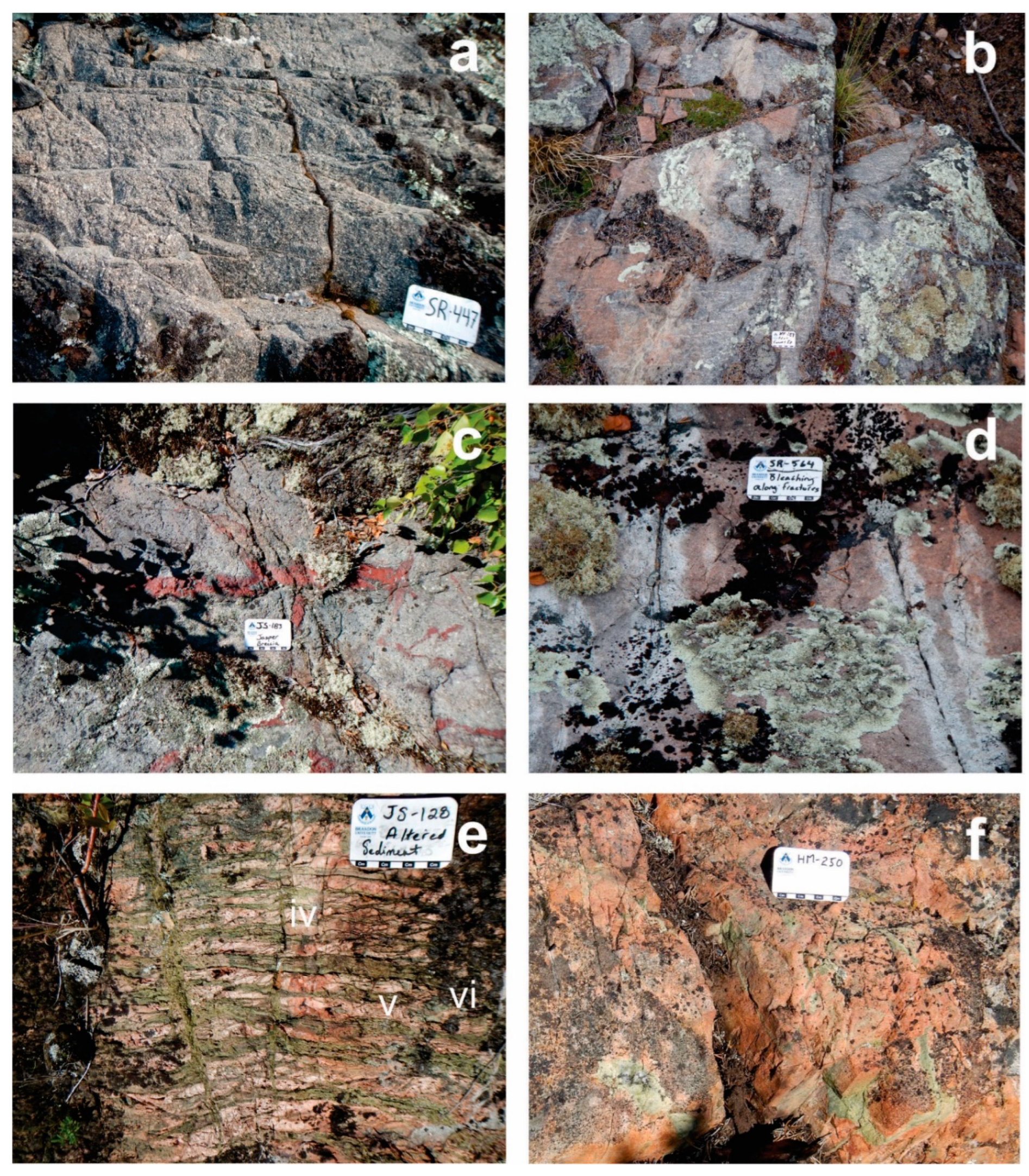 Preprints 81837 g014