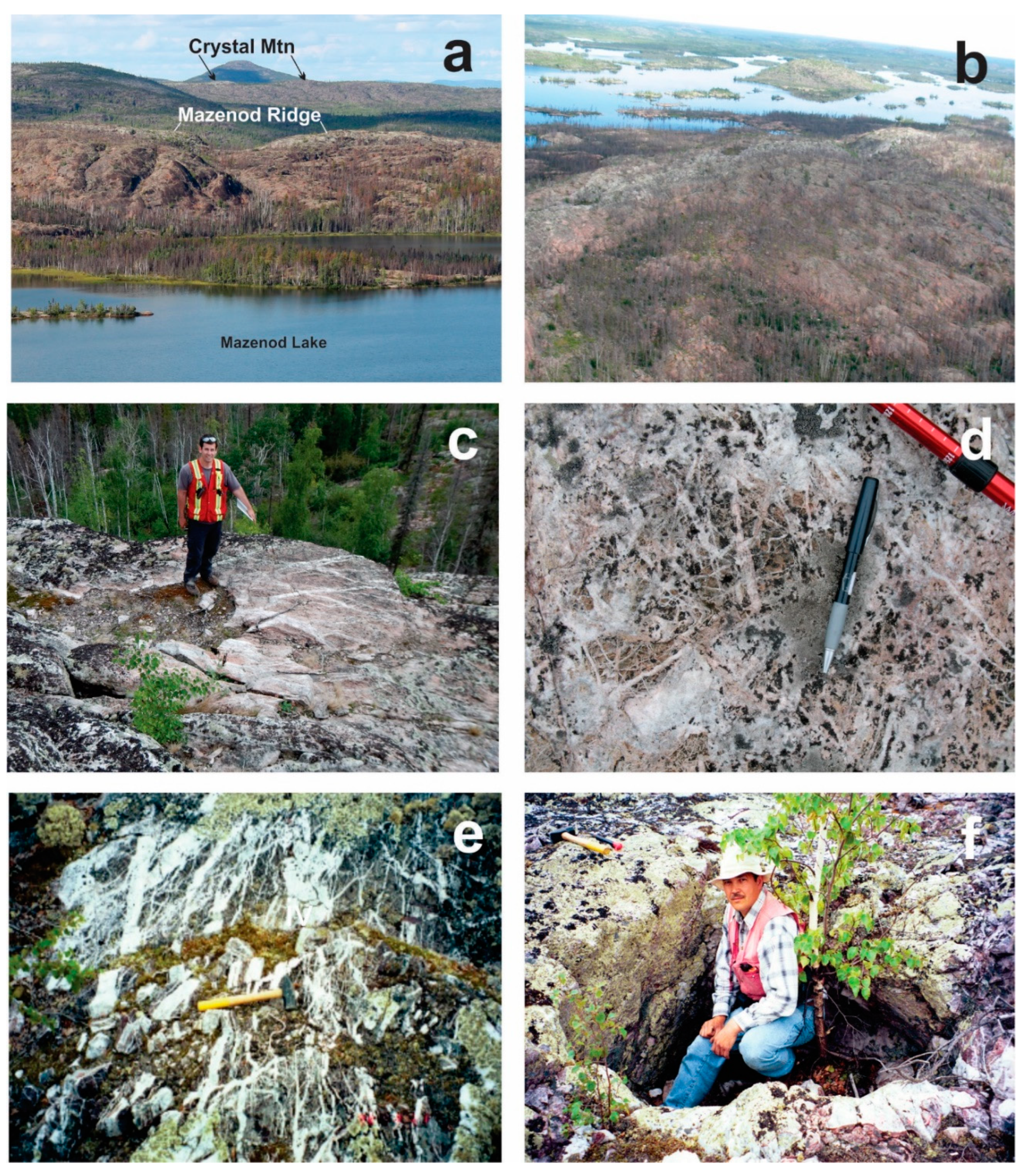 Preprints 81837 g015