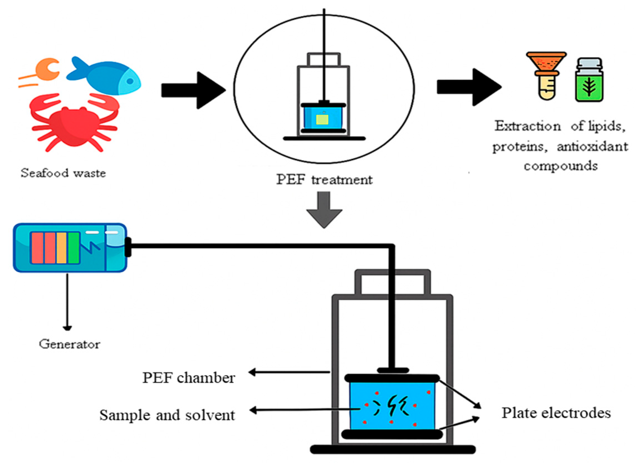 Preprints 186653 g001