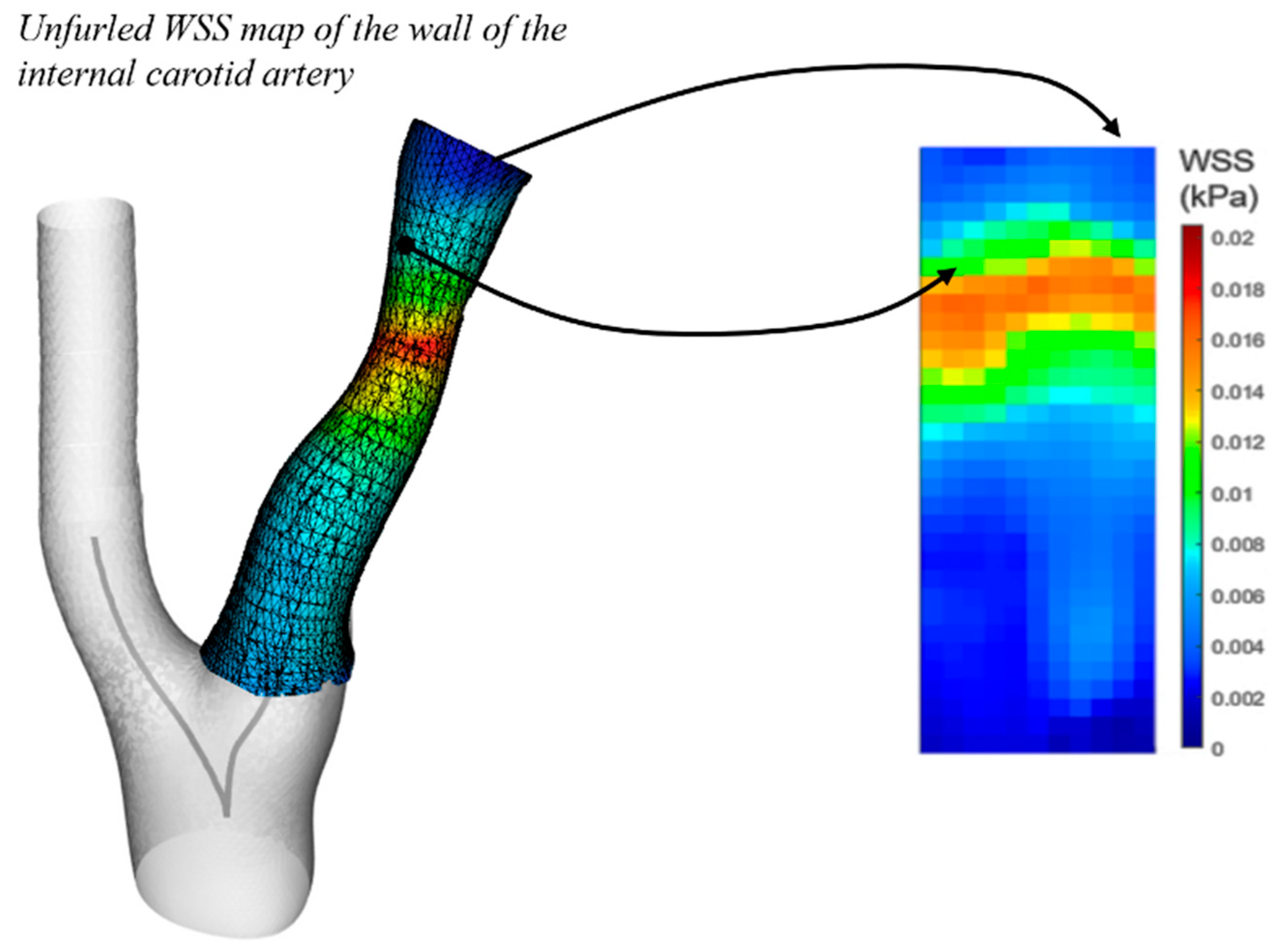 Preprints 158810 g001