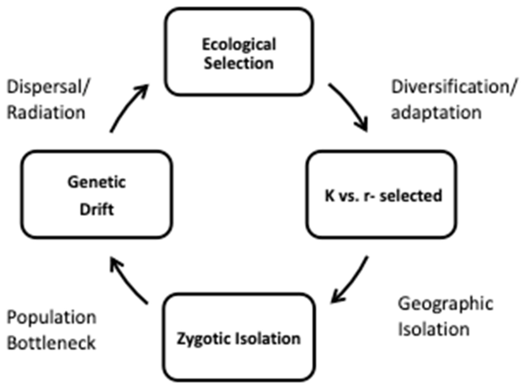 Preprints 163847 g002