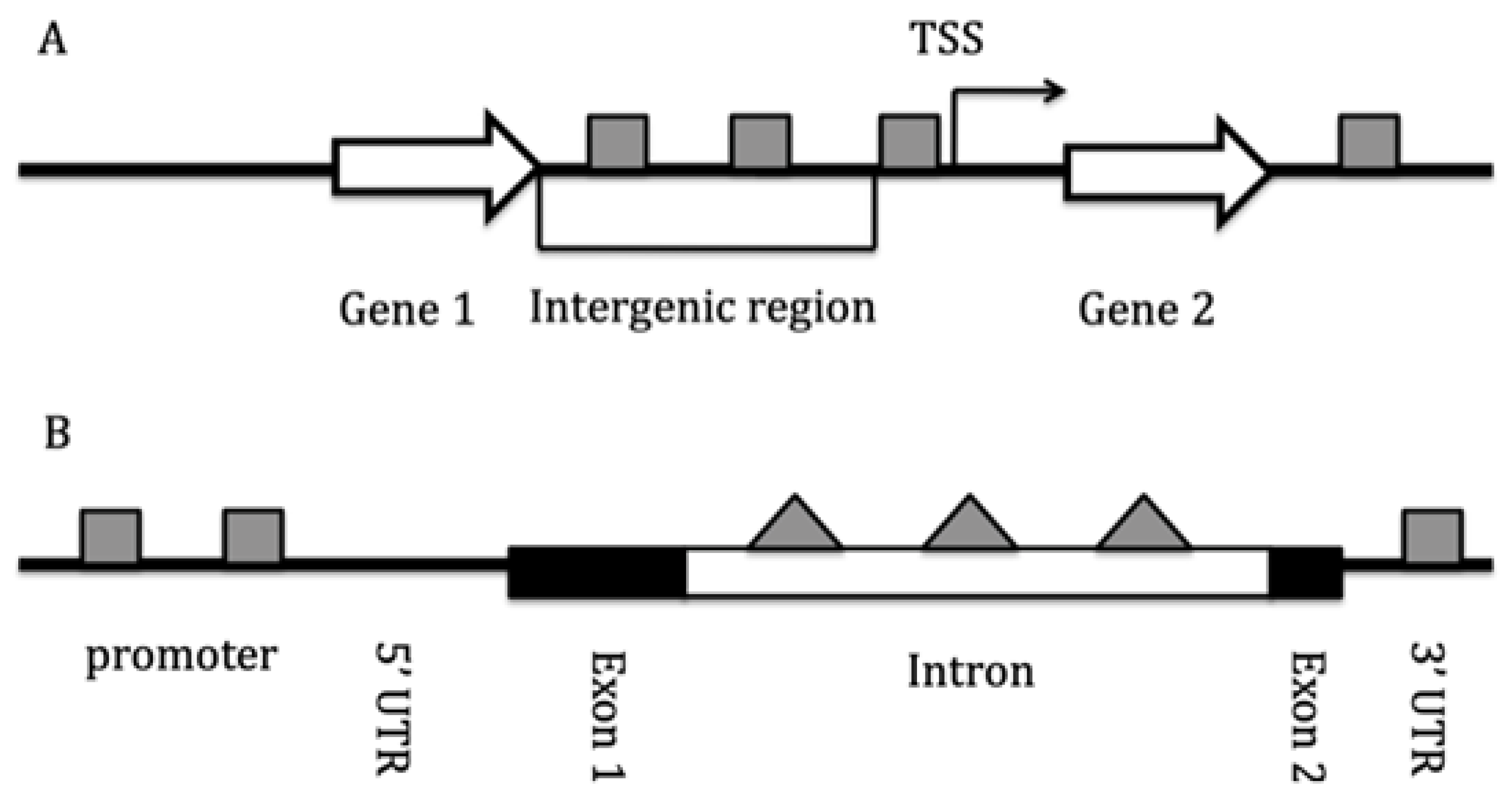 Preprints 163847 g004