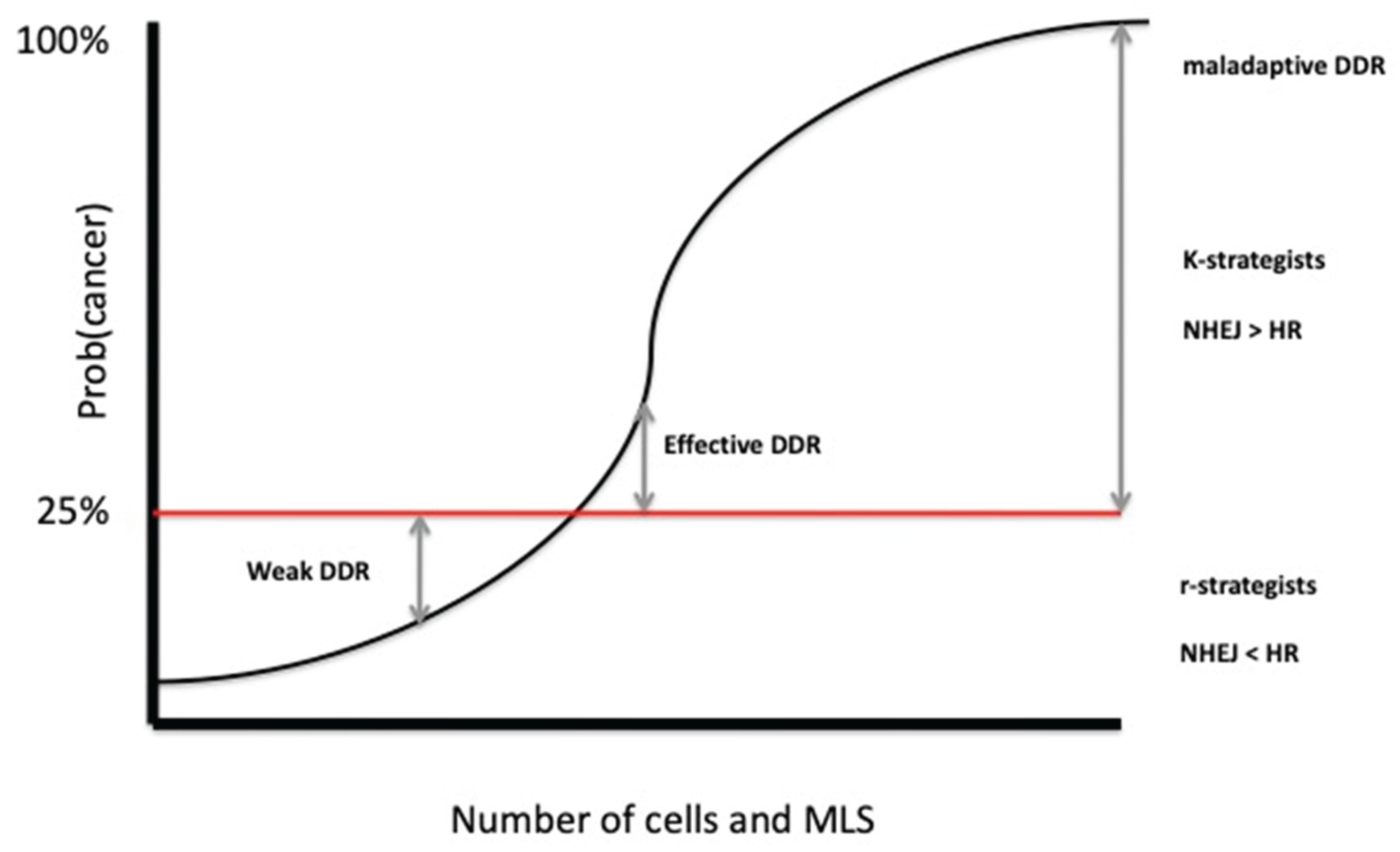 Preprints 163847 g005