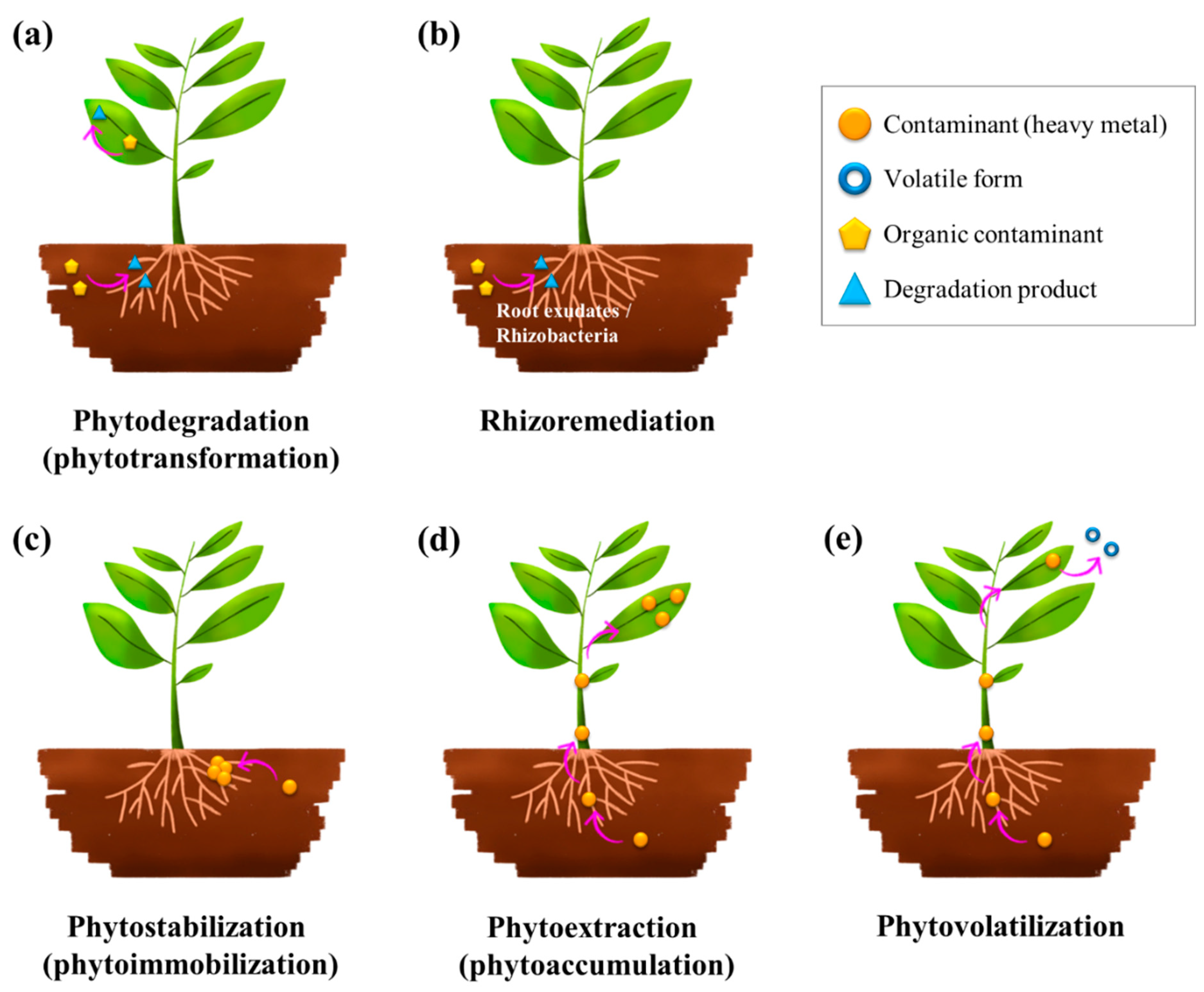 Preprints 143192 g002